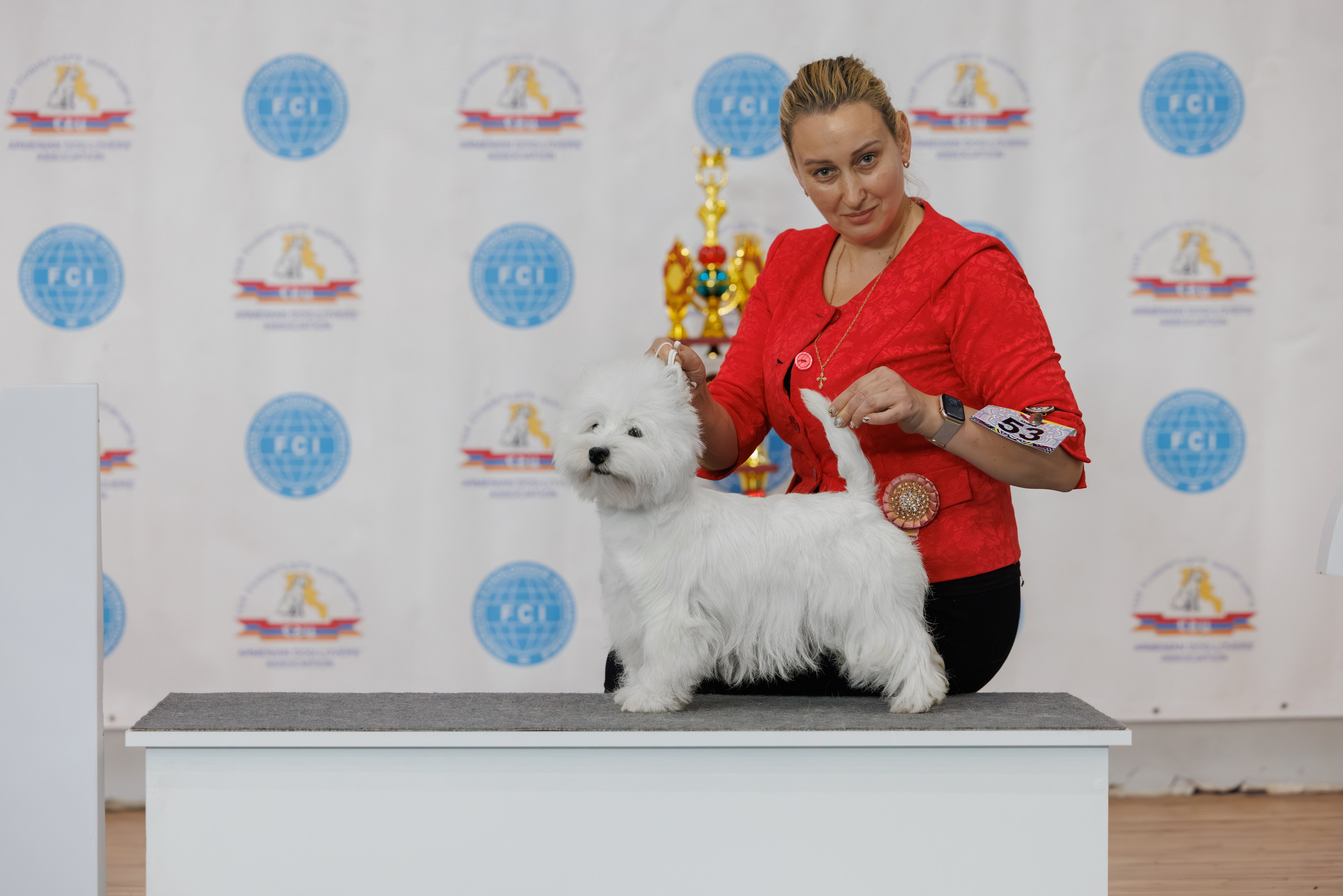 Ереван 2х CACIB 29-30.04.2025. Фотограф-анималист Юлия Германика