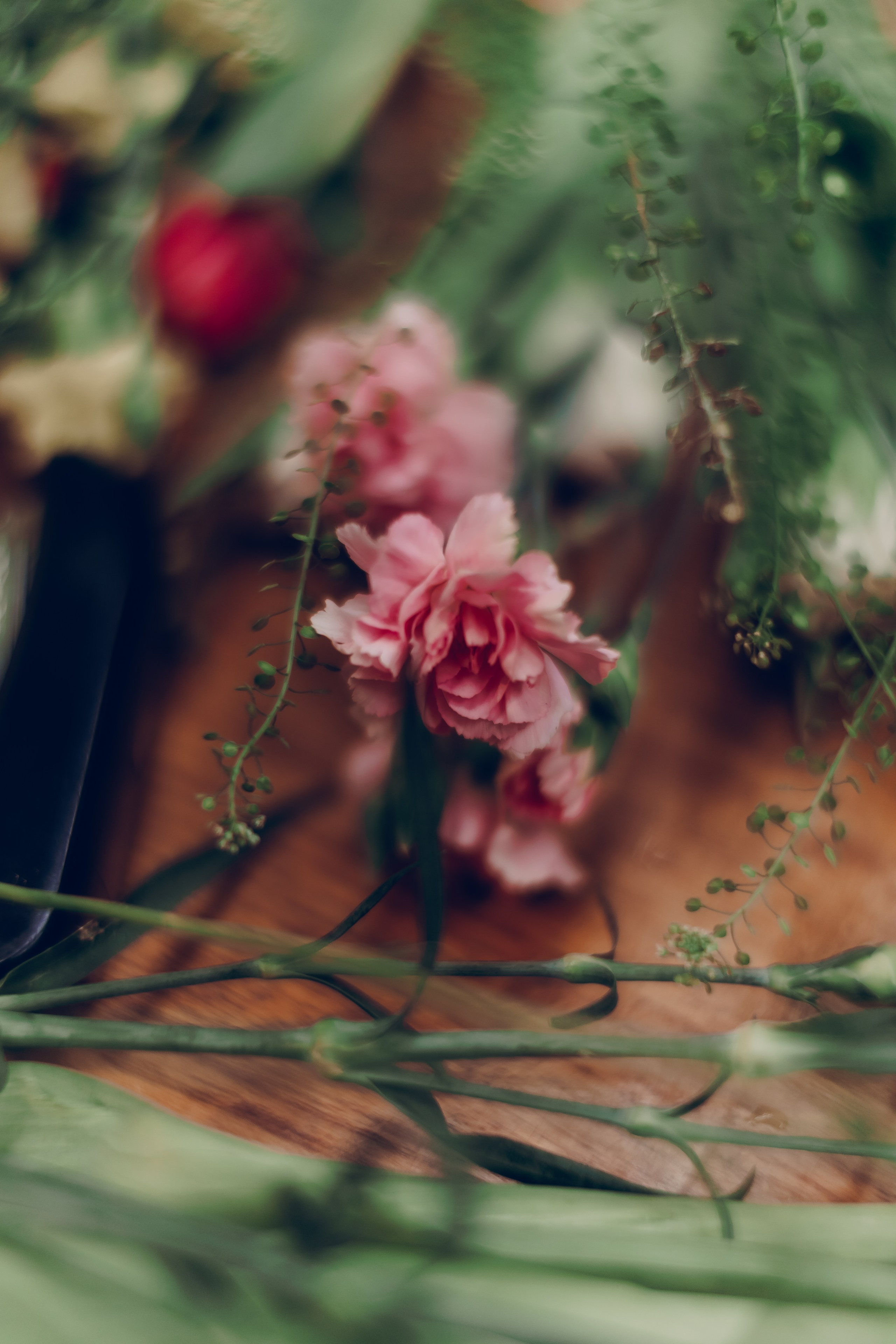 Botanical. Портретный и свадебный фотограф в Москве и Санкт-Петербурге. Учитель фотографии онлайн и оффлайн