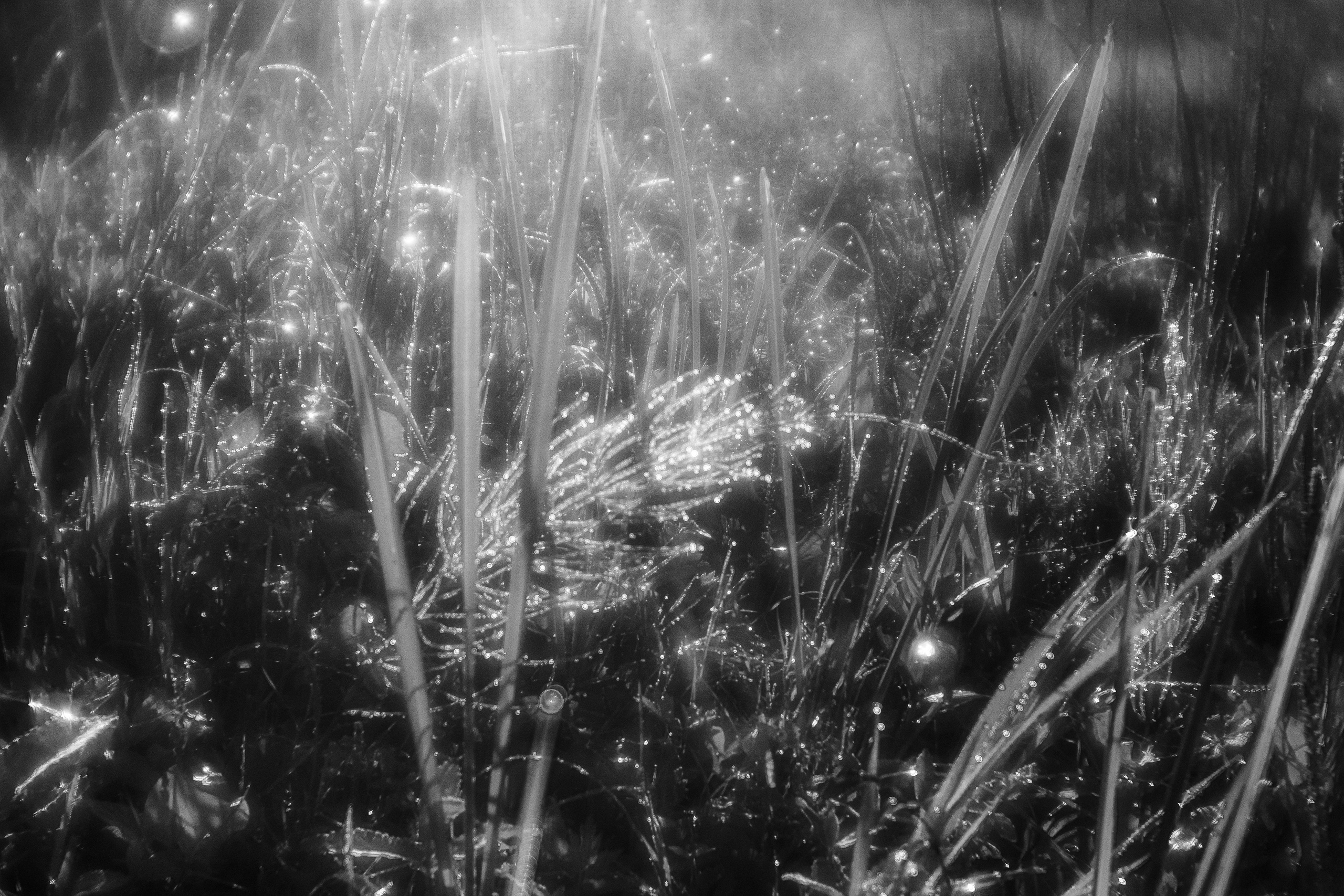 Фотографии Лены Соколовой