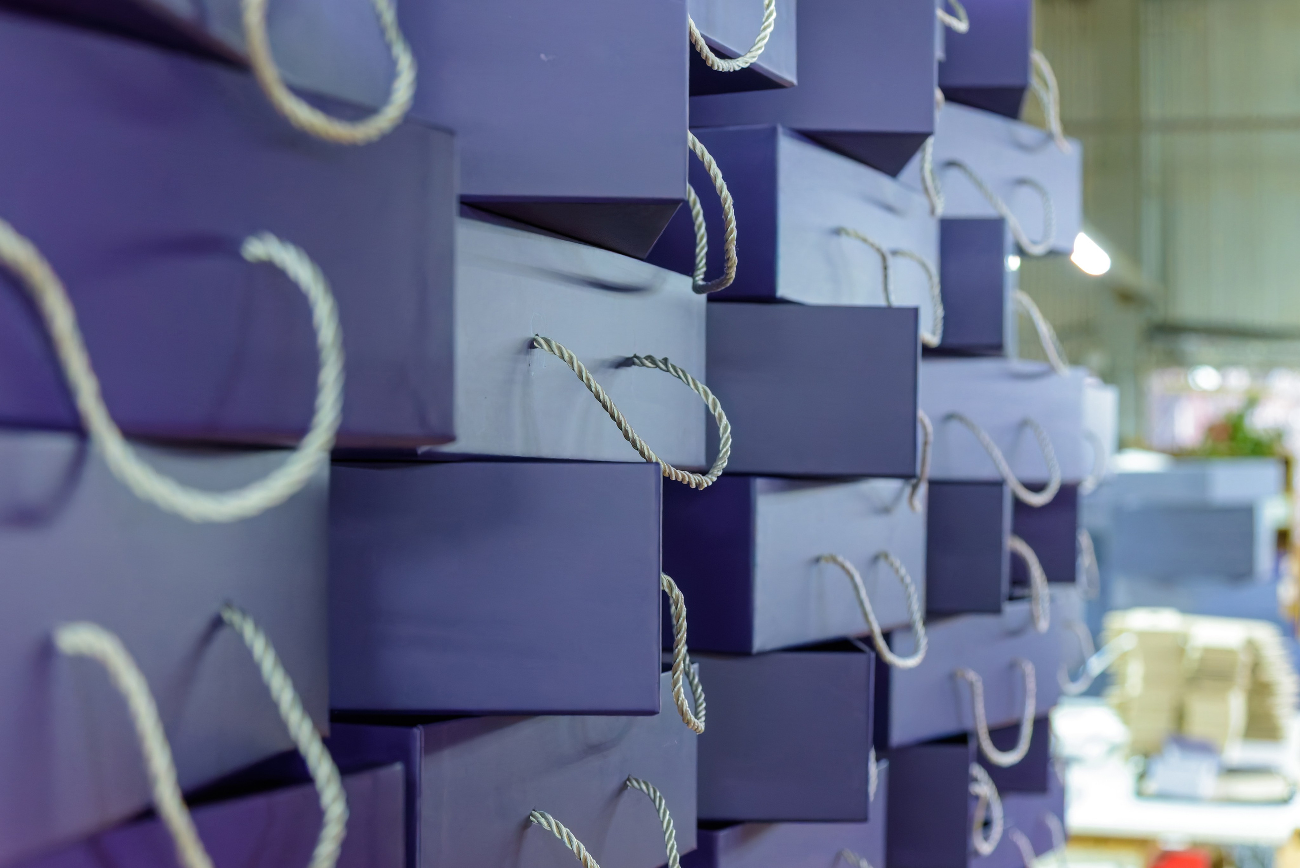 Производственные цеха компании «Маркетри». Fotolux