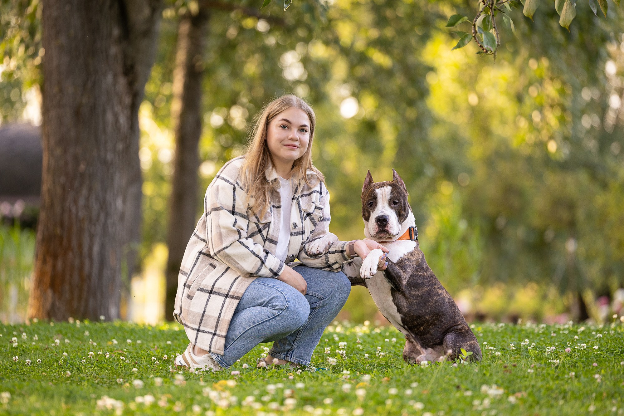 Амстафф Честер и его семья. Фотограф-анималист Natalia Deingel | Фотосъемка собак в Москве