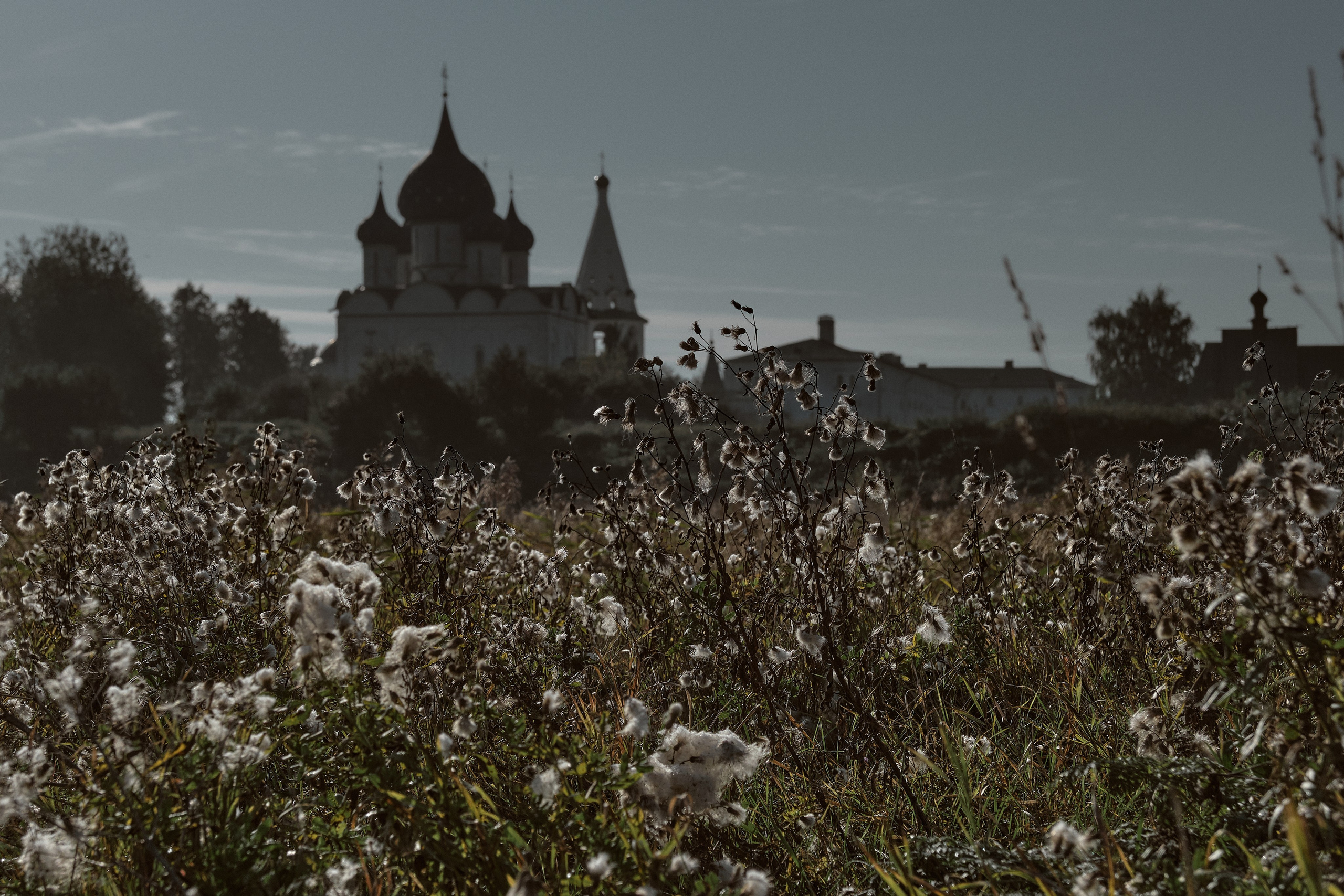 Suzdal City / The Golden Ring of Russia. Aleksandr Kobtsev