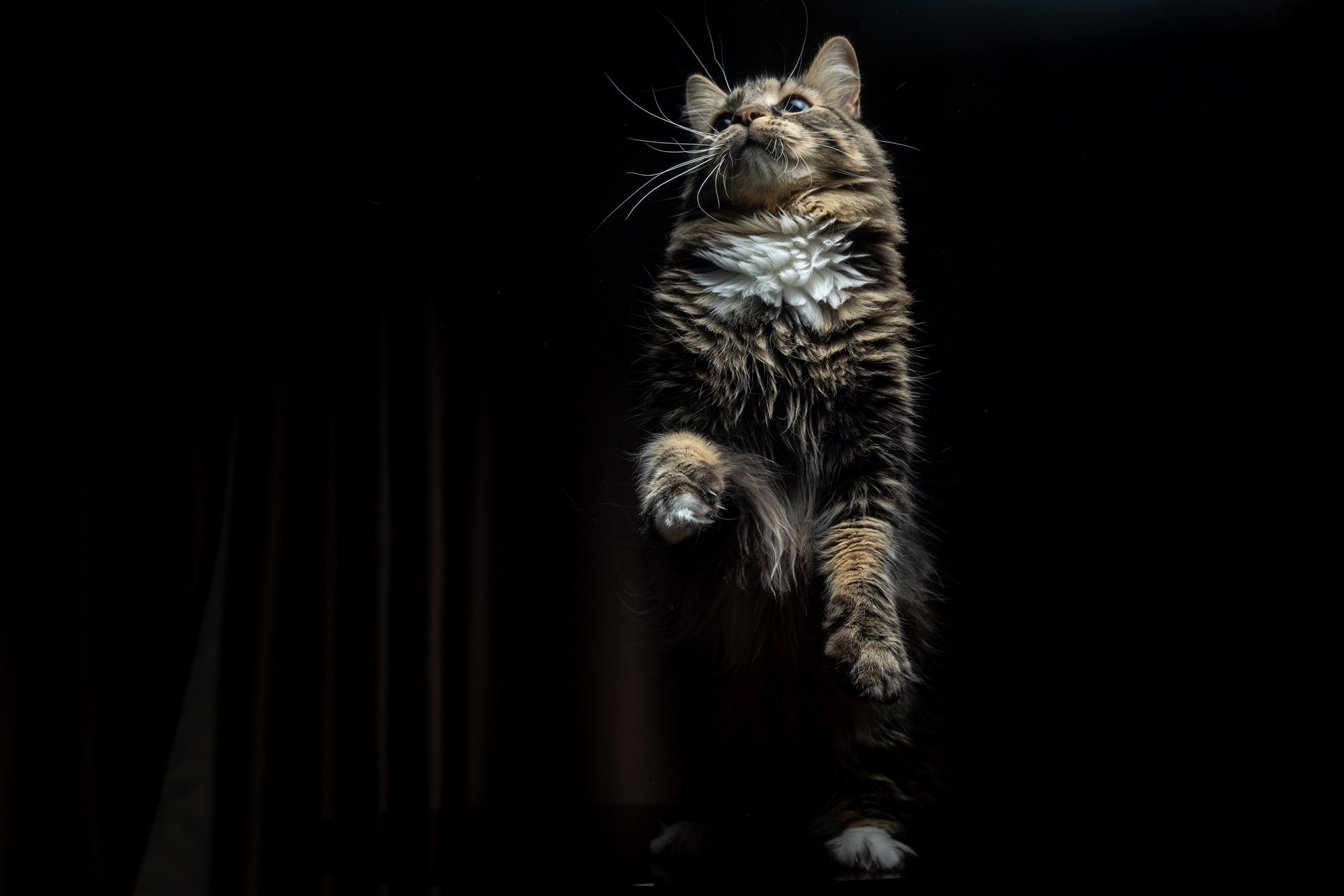 Лека и Дар. Свадебный и репортажный фотограф в Москве и Московской области