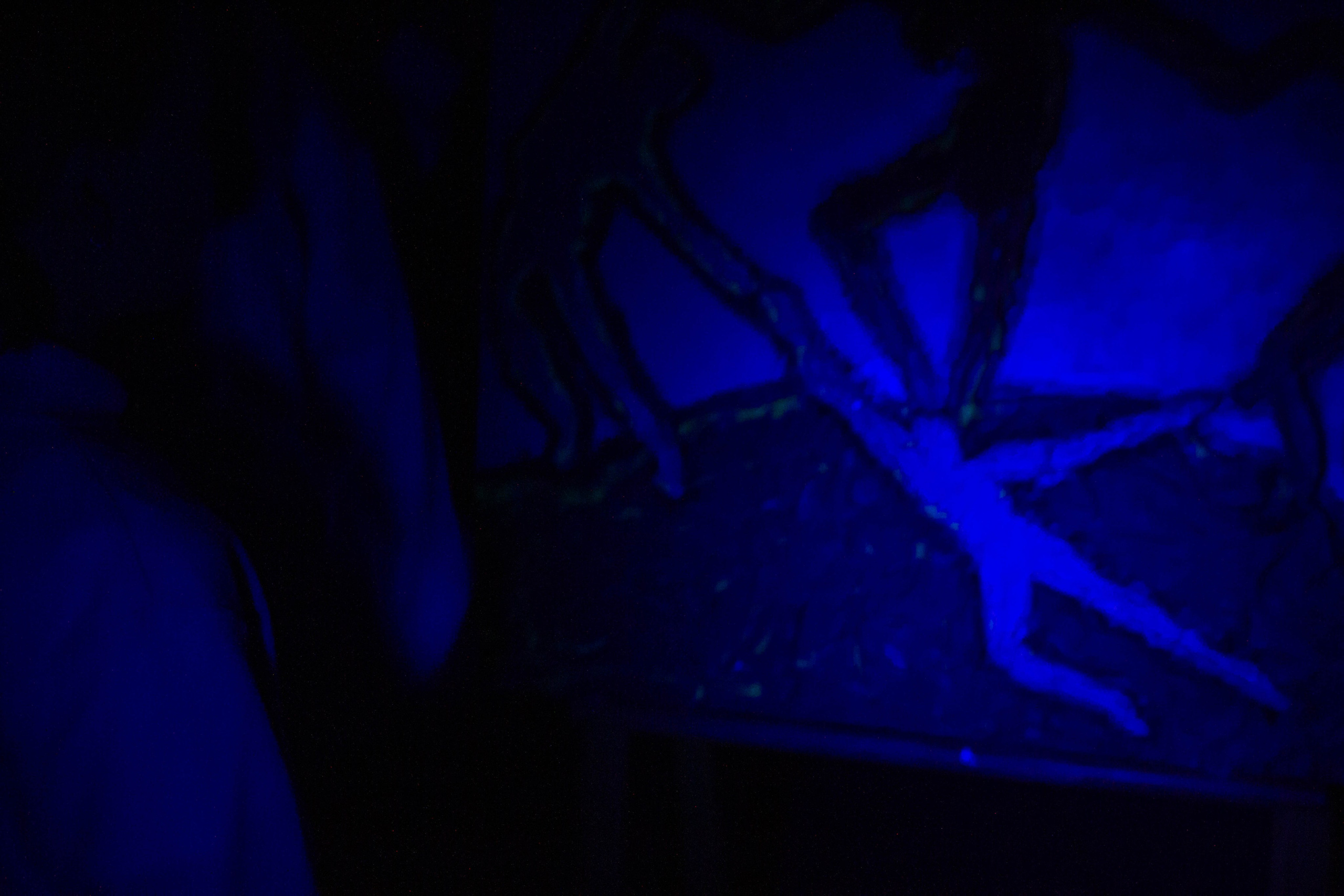 НЕ ТЕМНО_ЛИЦЕЙ им. С. П. ДЯГИЛЕВА 2025