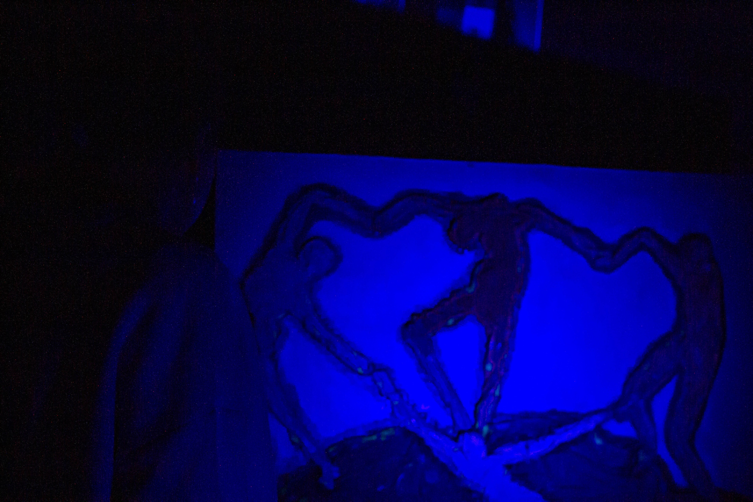 НЕ ТЕМНО_ЛИЦЕЙ им. С. П. ДЯГИЛЕВА 2025