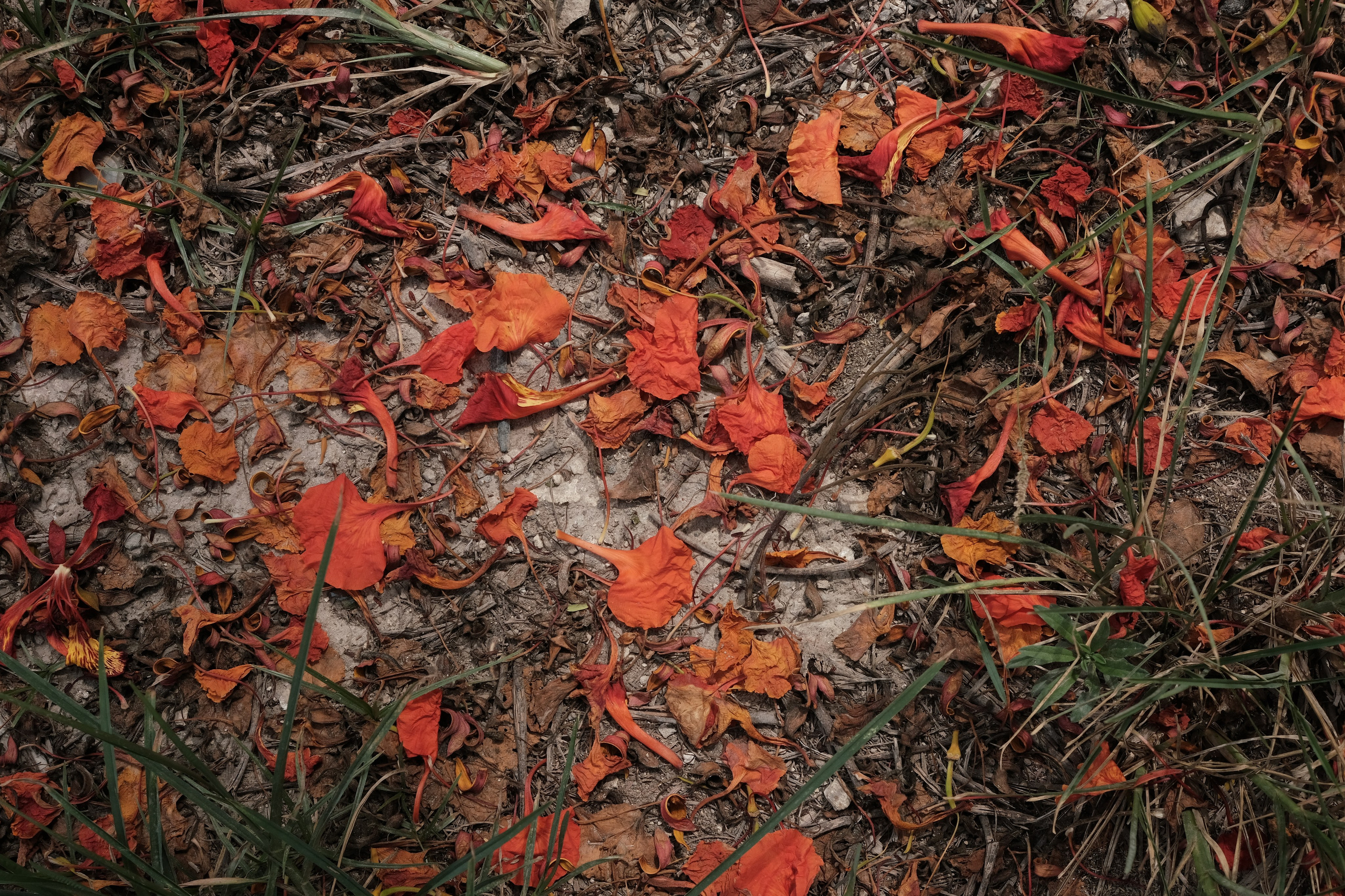 Margarita Rodionova — a contemporary lens-based artist currently working in Cancun, Mexico