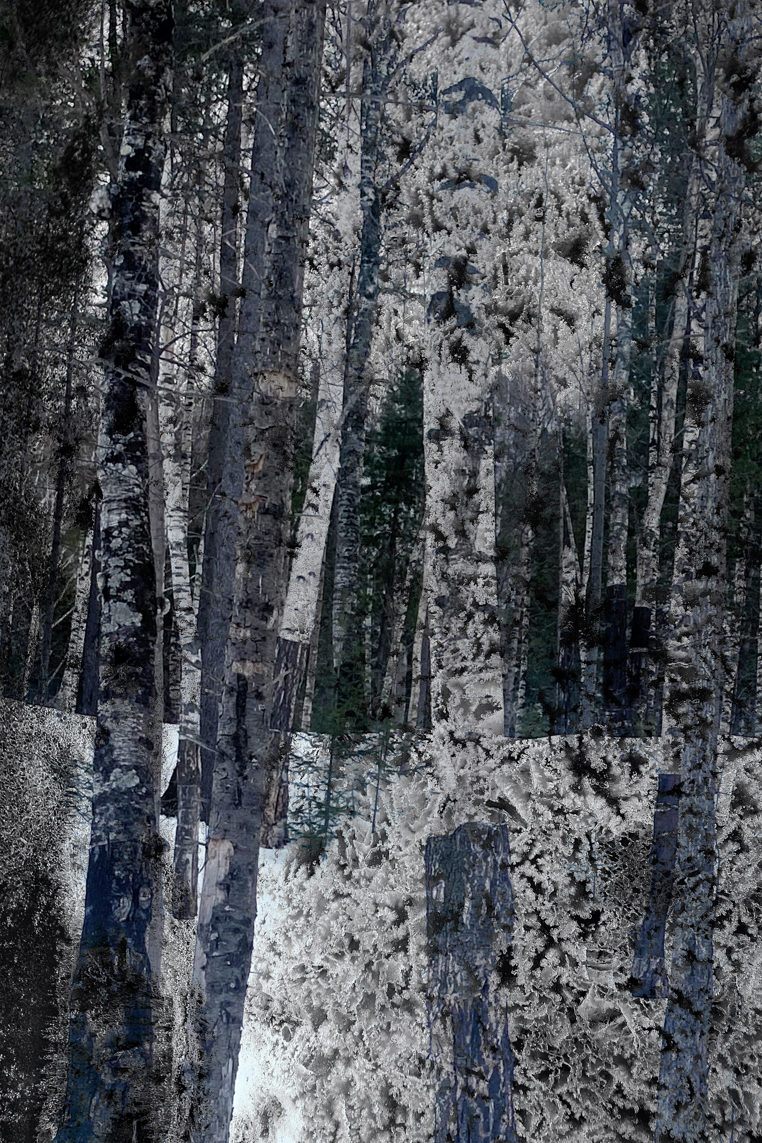 2025 год. Тащилин Сергей. Фотографии. Жизнь. Хобби