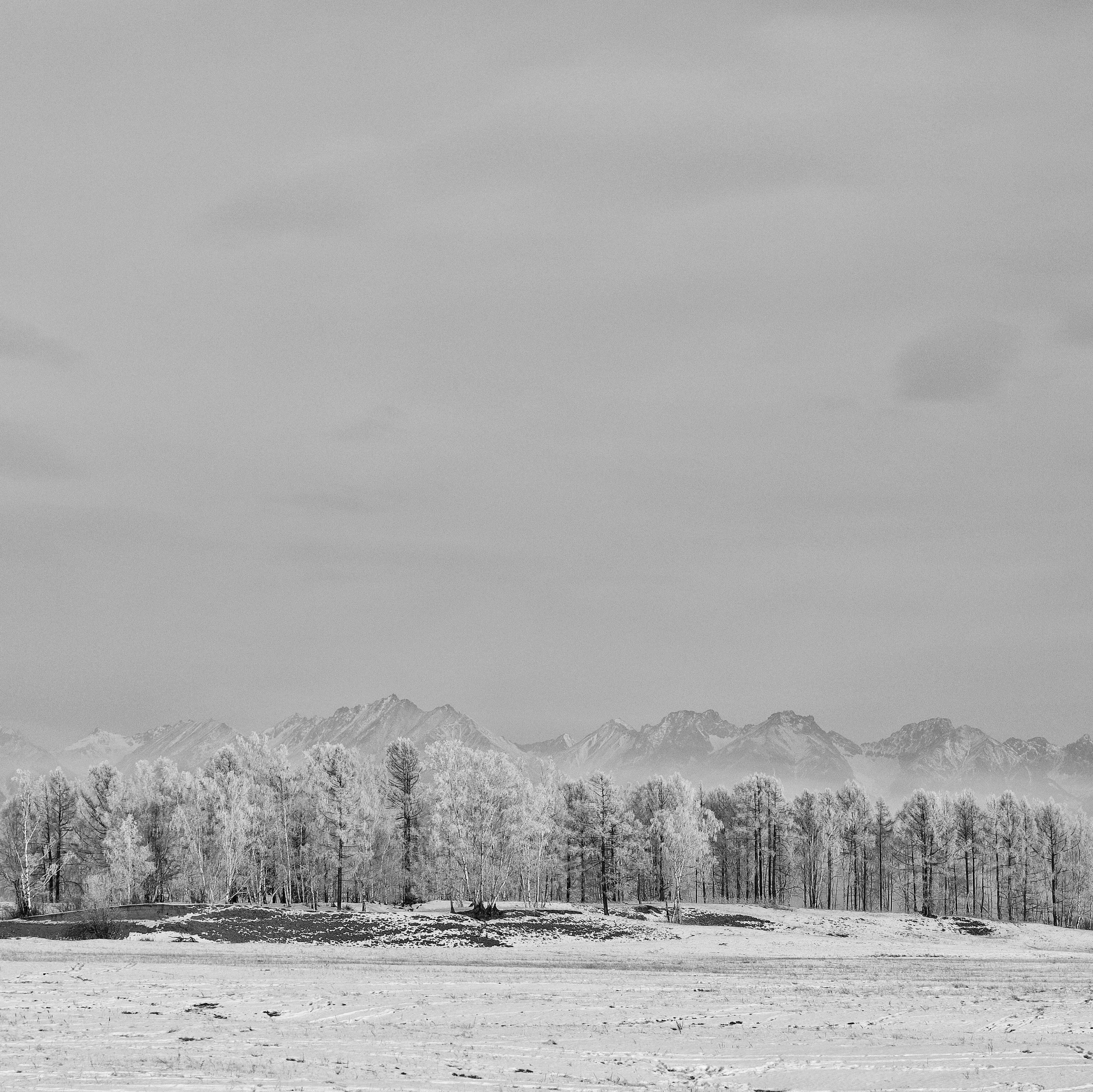 2020. Тащилин Сергей. Фотографии. Жизнь. Хобби
