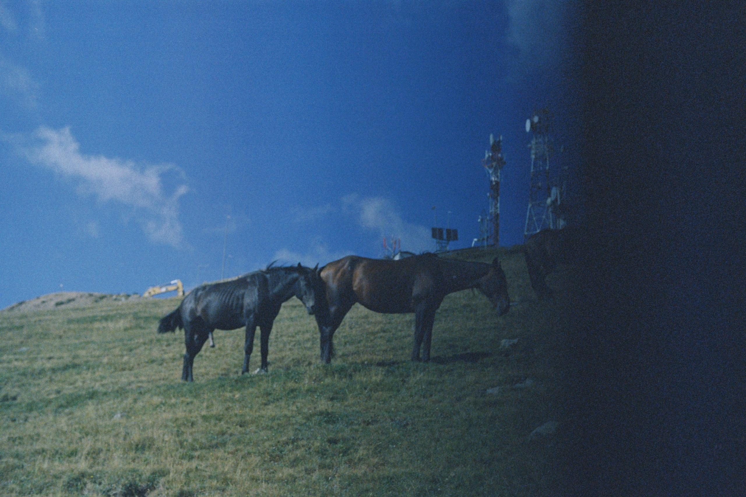 Sochi \ august 2022 \ film 35. Коммерческий Фотограф Виктор Фоменых