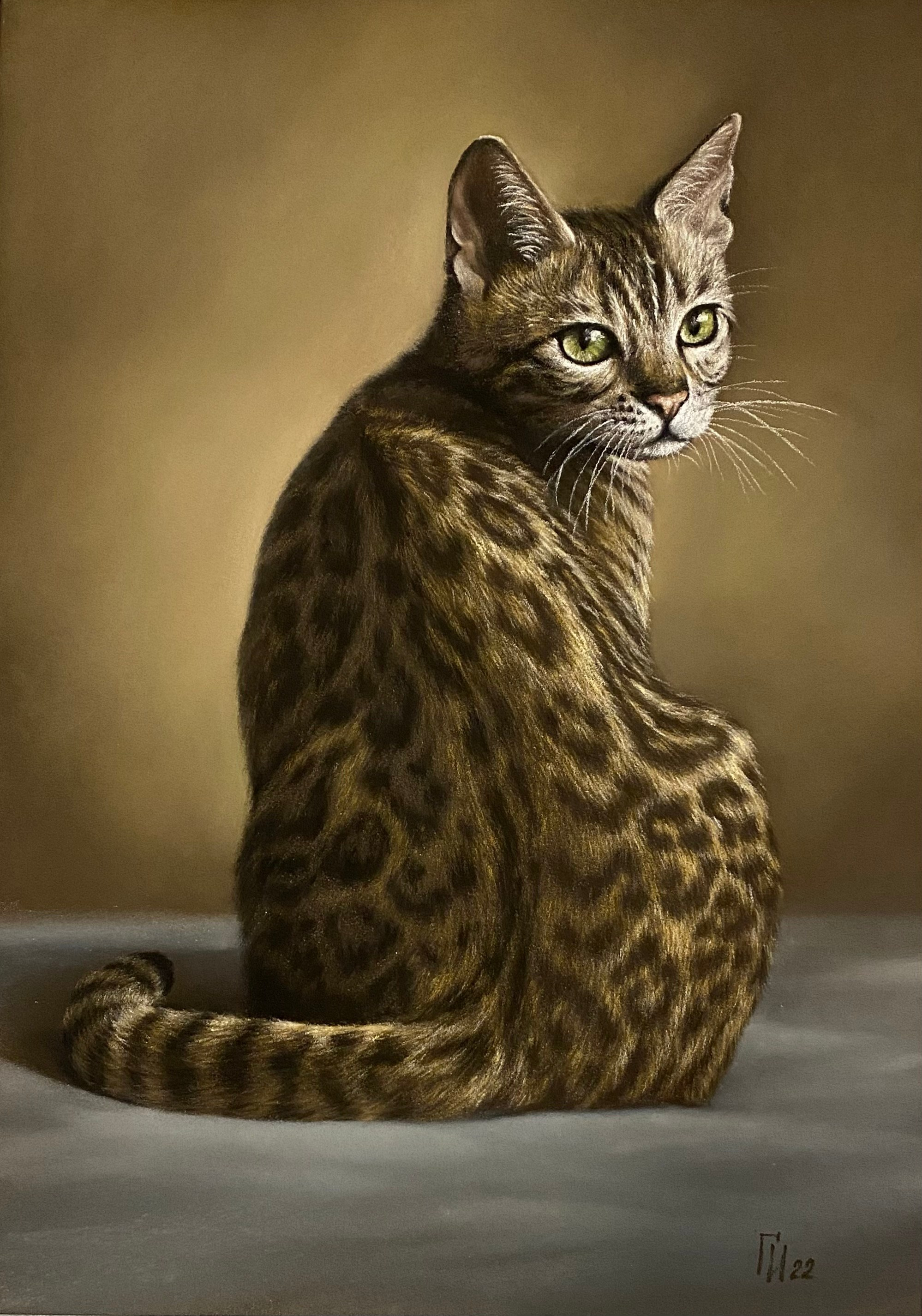 Анималистика. Контакты