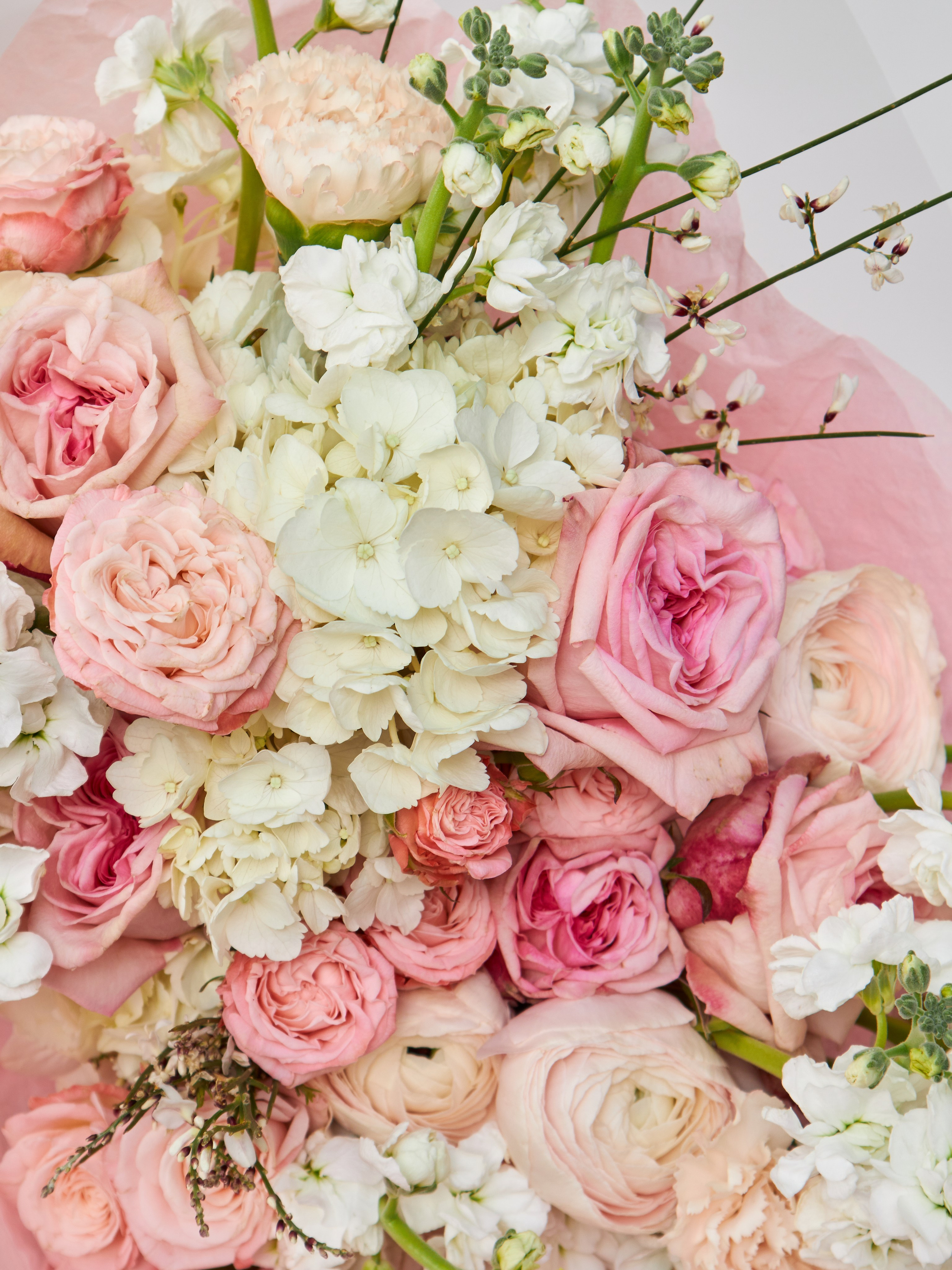 Организация съемки каталода одежды с привлечением фокус-группы в Москве – совмещаем сбор фидбека и создание контента