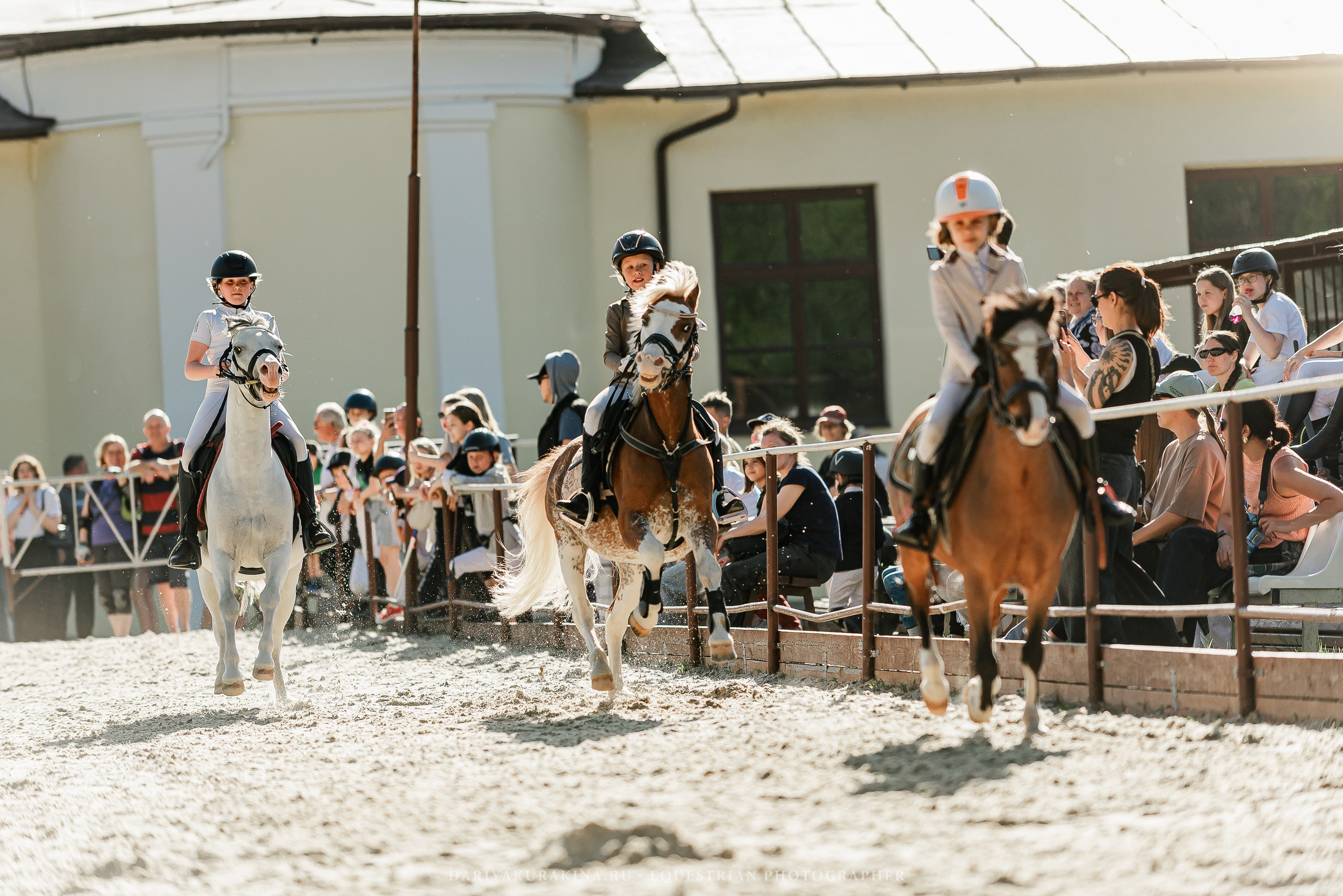 #ПОНИФОРУМ 2024. Конный фотограф Куракина Дарья • Фотосессии с лошадьми