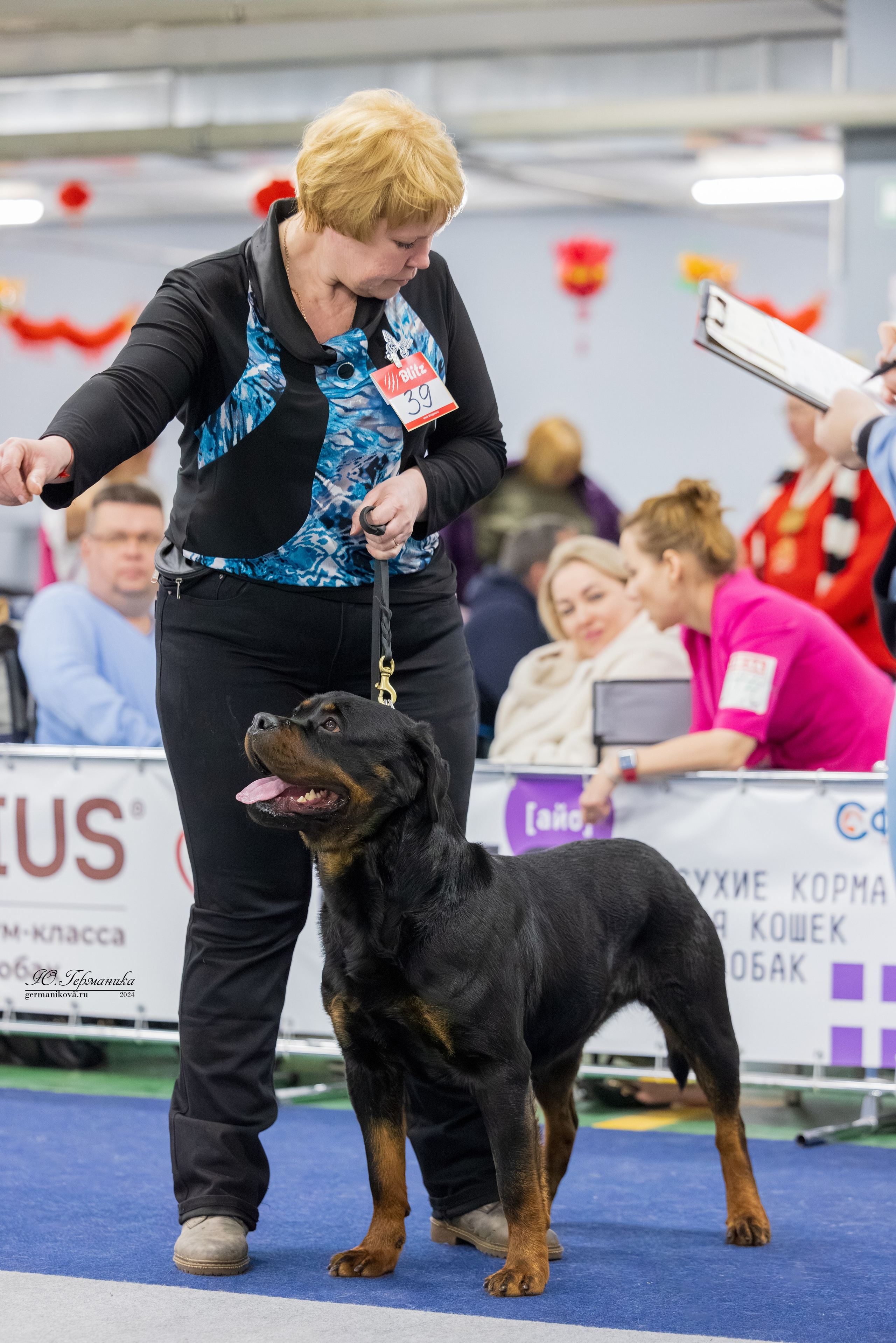 Сфера 08 и 10.03.2024 2хмоно ротвейлеров+2хмоно сао. Фотограф-анималист Юлия Германика