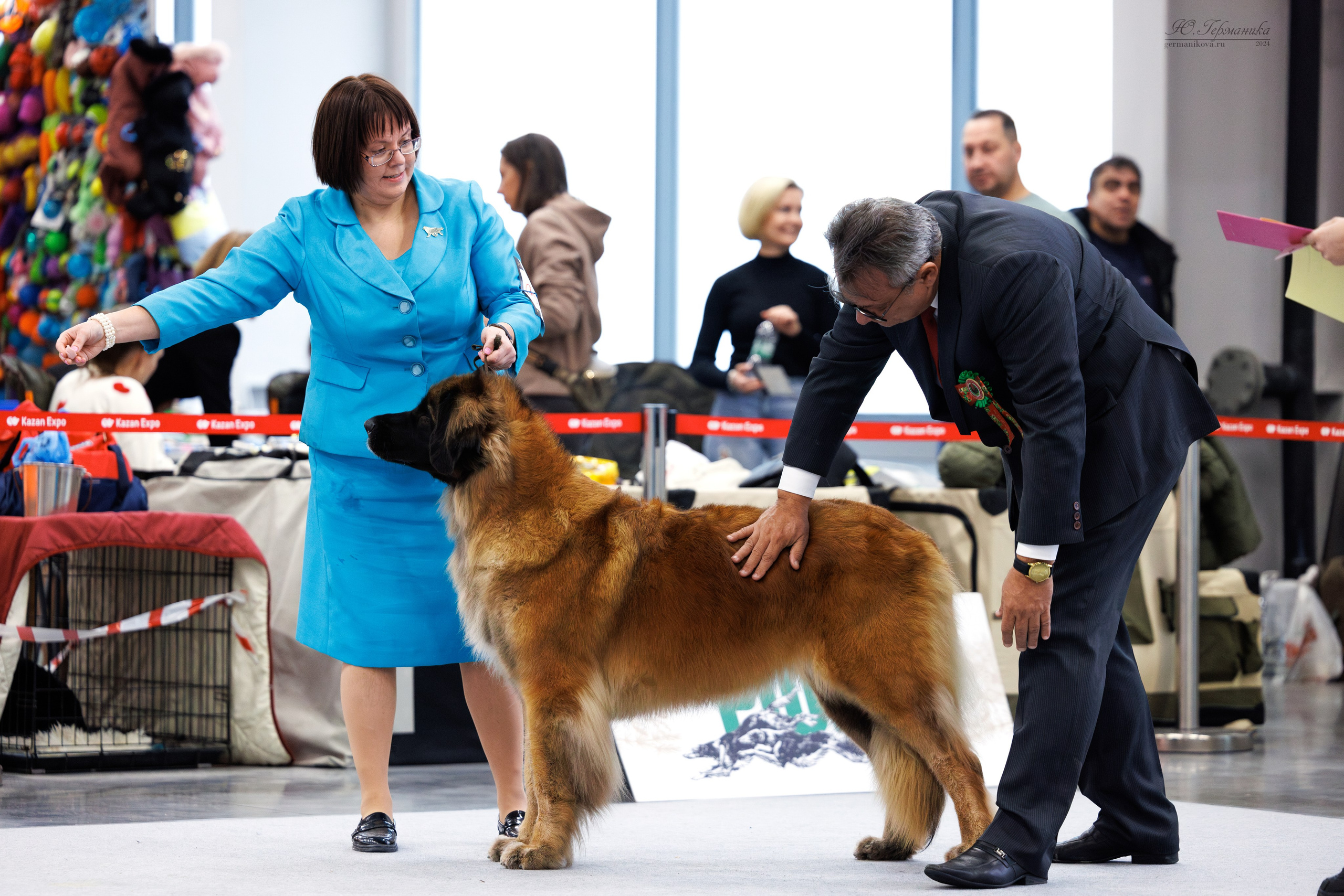 Казань Зилант 30-01.12 2024. Фотограф-анималист Юлия Германика