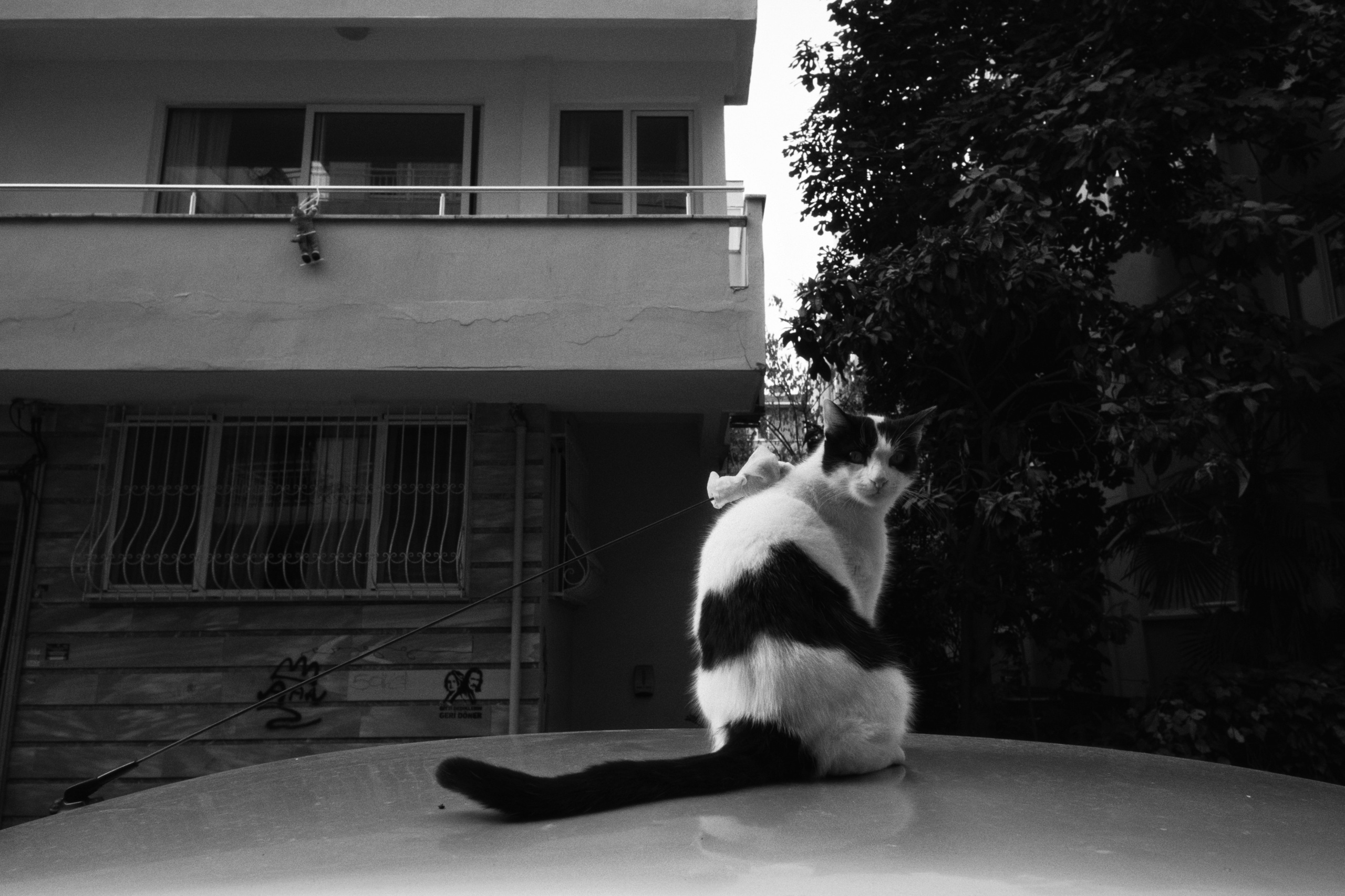 Kadikoy x Moda, Istanbul / Türkey AW25. Фотограф Юрин Евгений