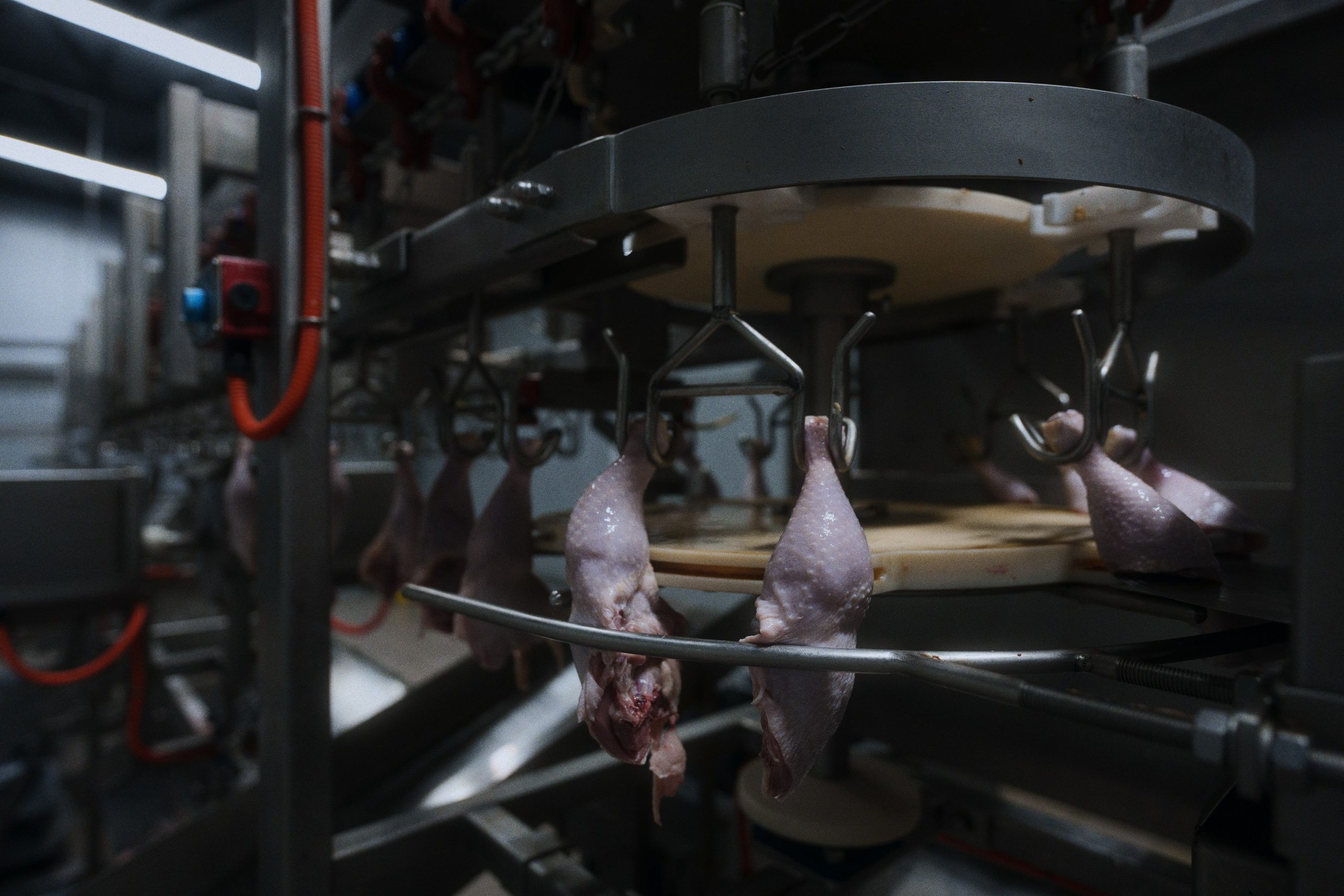 Can you tell a green field from a cold steel rail?. Фотограф Юрин Евгений