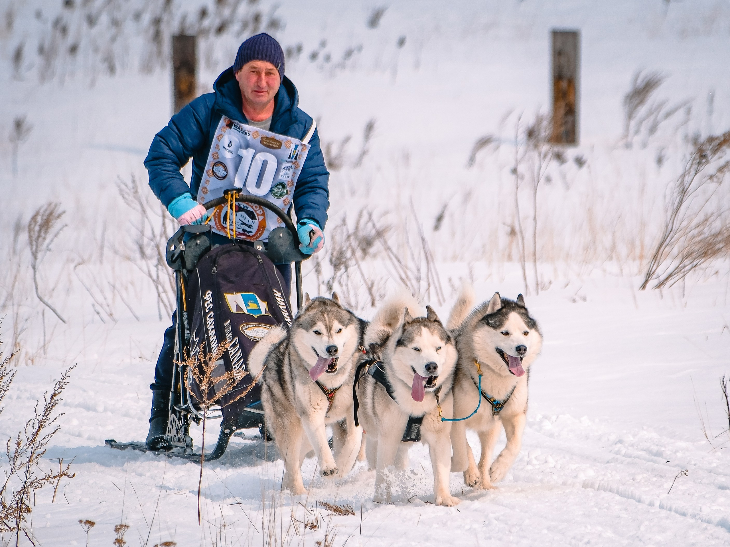 Фестиваль ездового спорта. Фотограф. г. Южно-Сахалинск. Олег Толстов