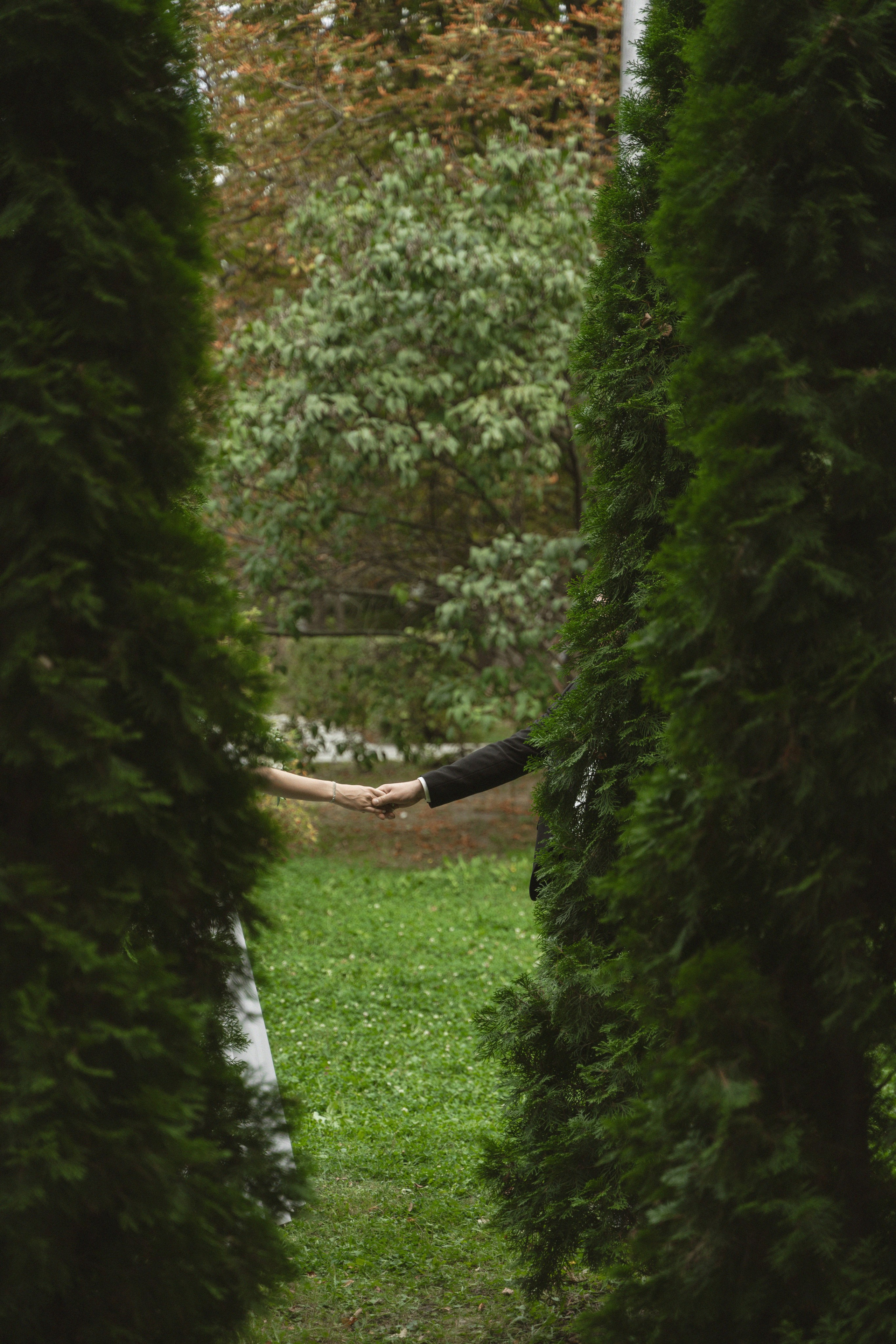 Прогулка. Фотограф Надежда Погребняк | Рязань | Москва