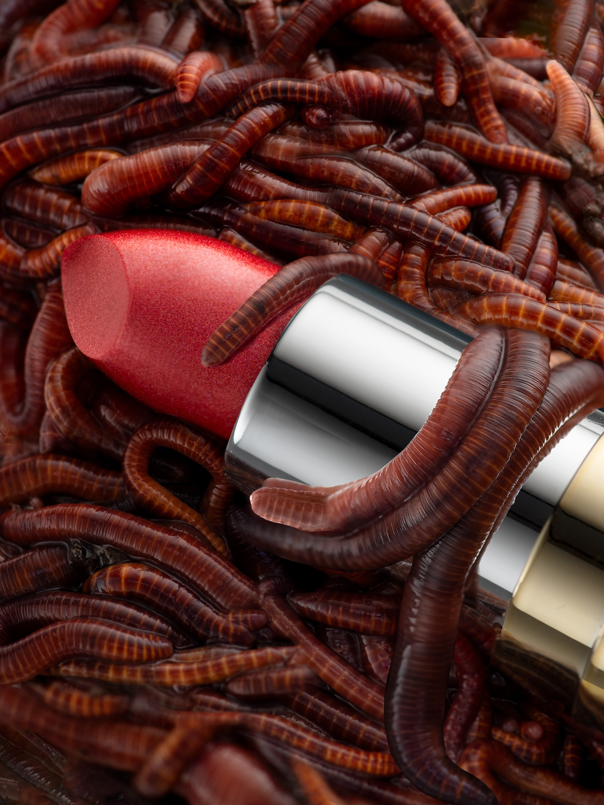 Александра Чекалина Предметный фотограф Барнаул