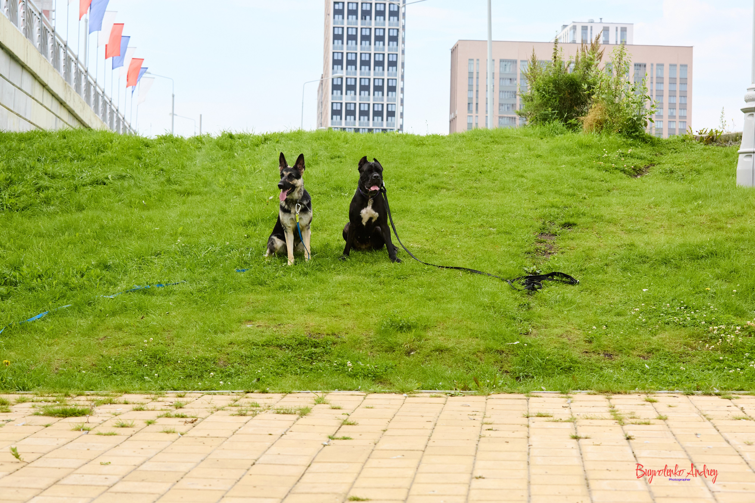 Проект фотопрогулка с хвостиком. Buyvolenko Andrey