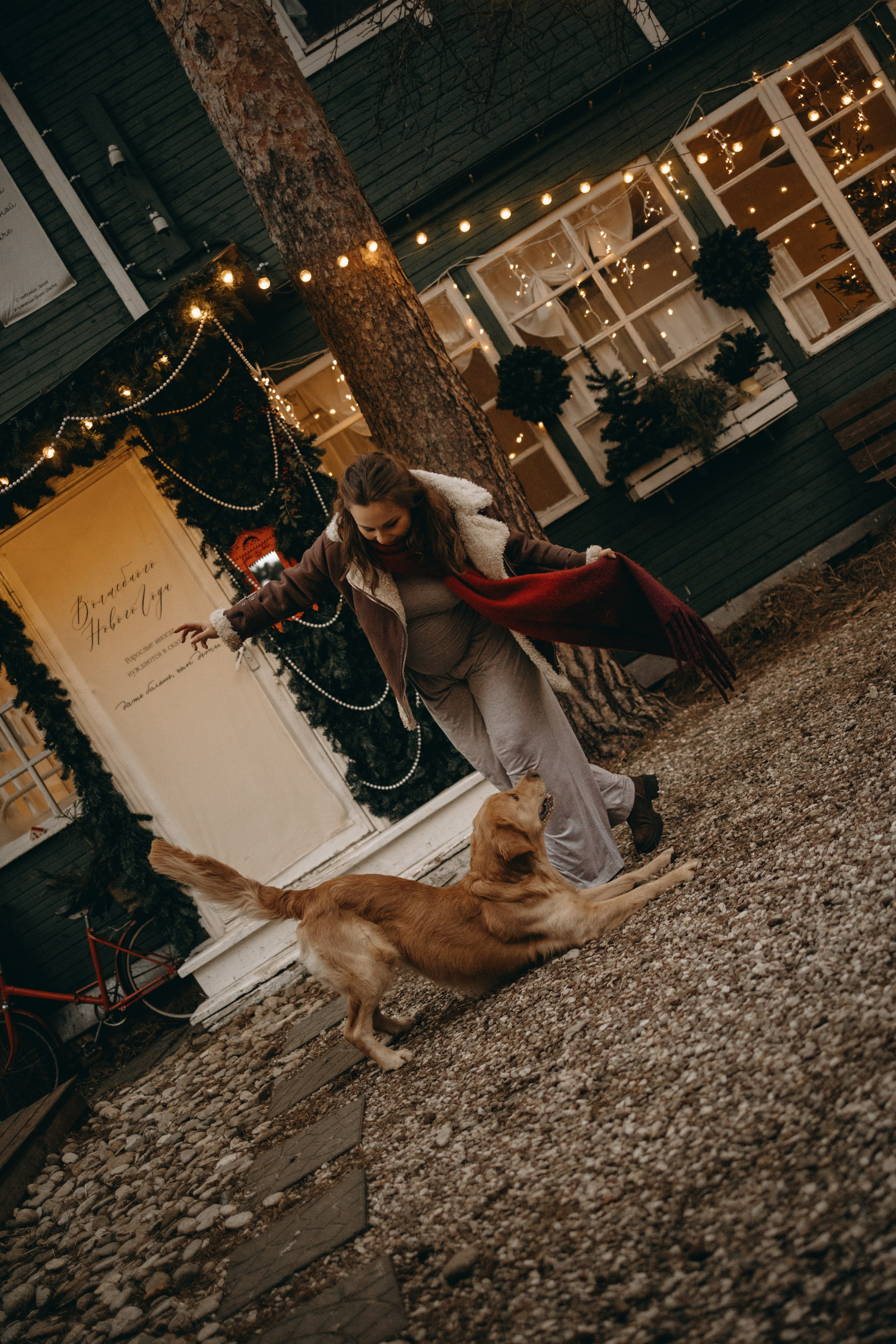 Вегас, Веник и их семья. Фотограф — Анималист | Санкт-Петербург