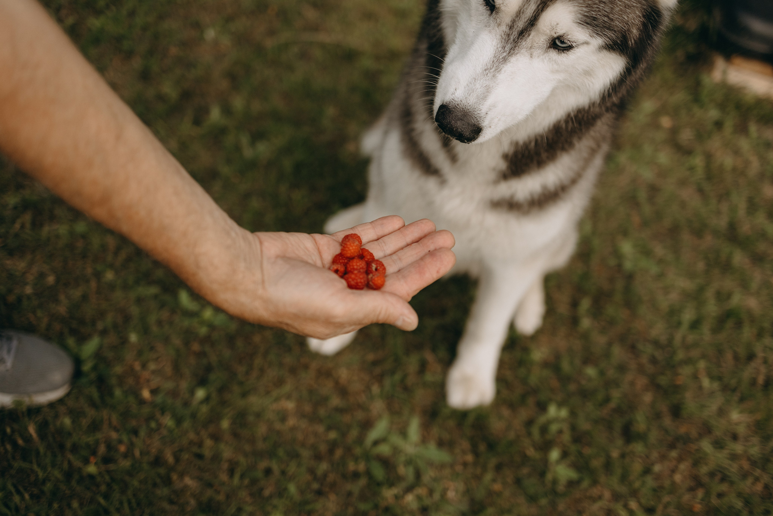 Дом у реки. Фотограф — Анималист | Санкт-Петербург