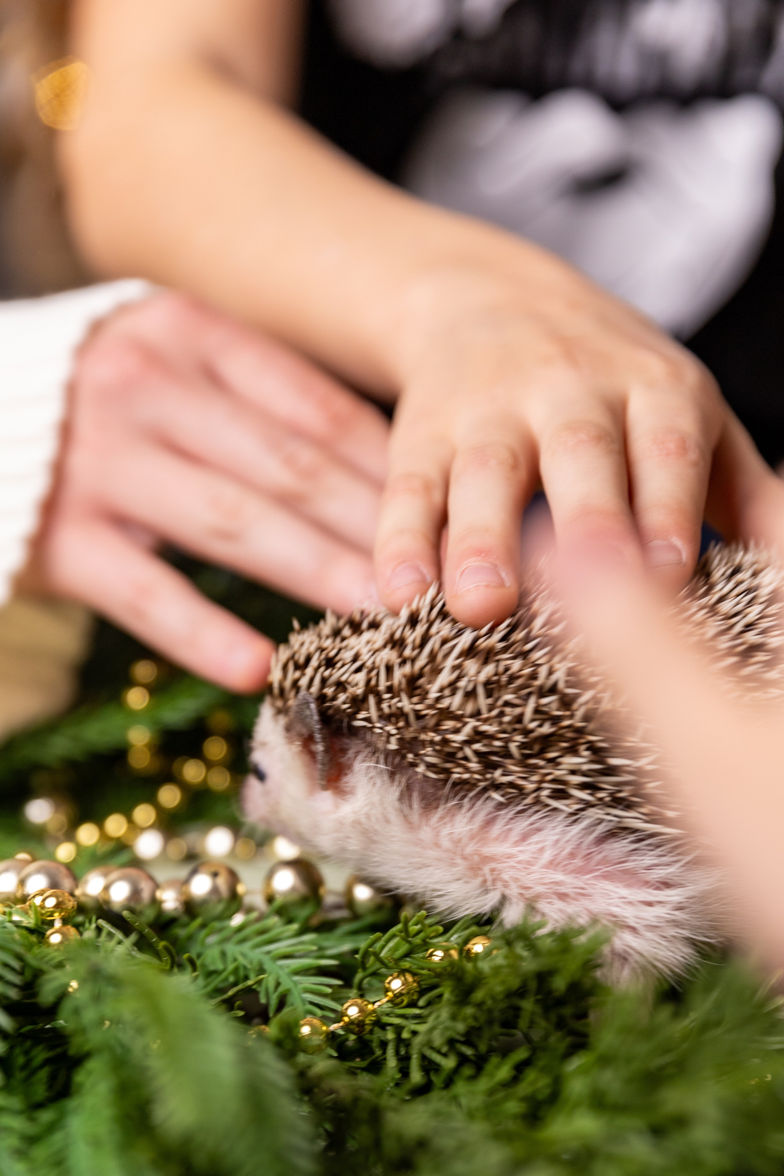 Семейная фотосессия