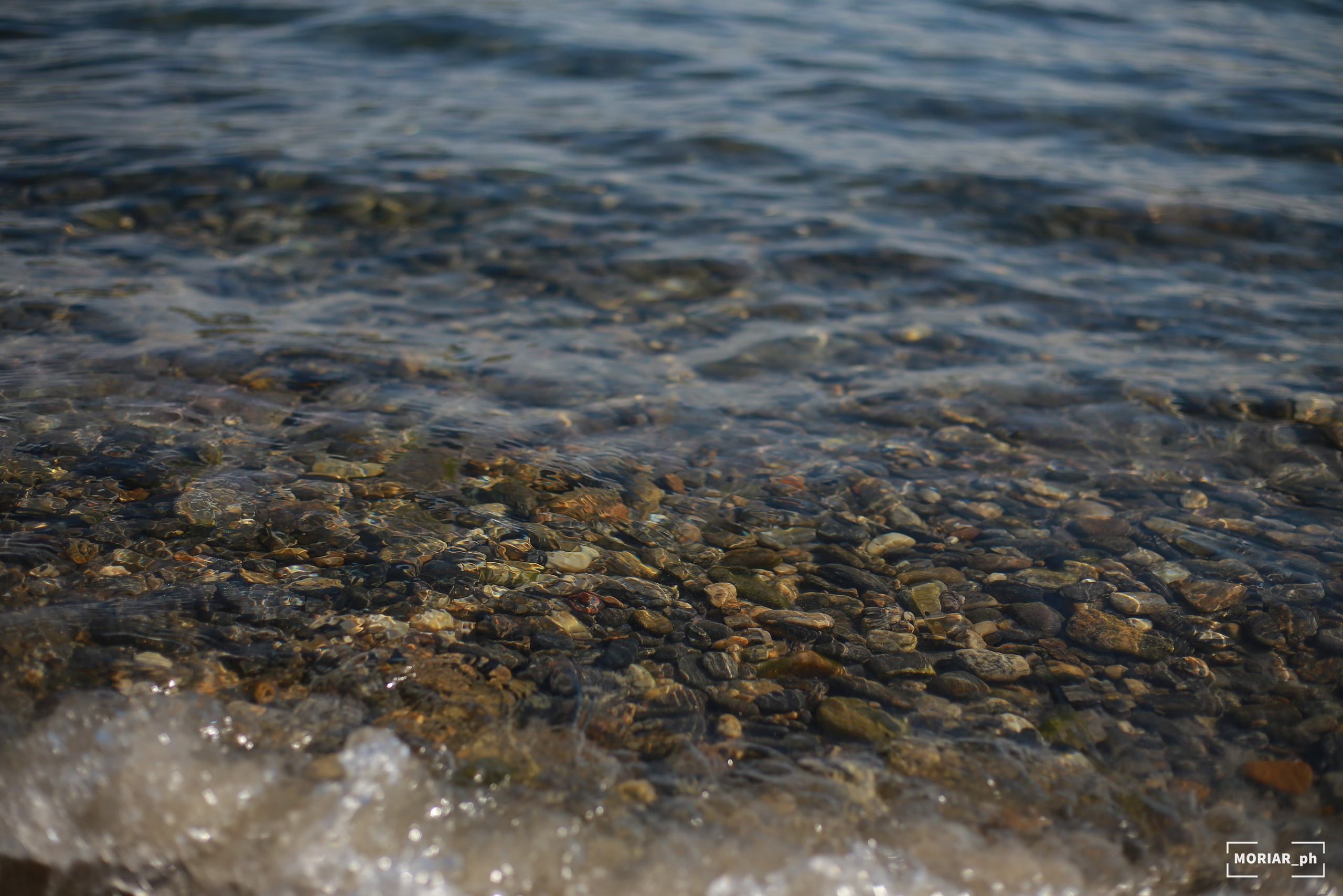 Отпуск. Портретный и репортажный фотограф в Кемерово Алексеева Анастасия