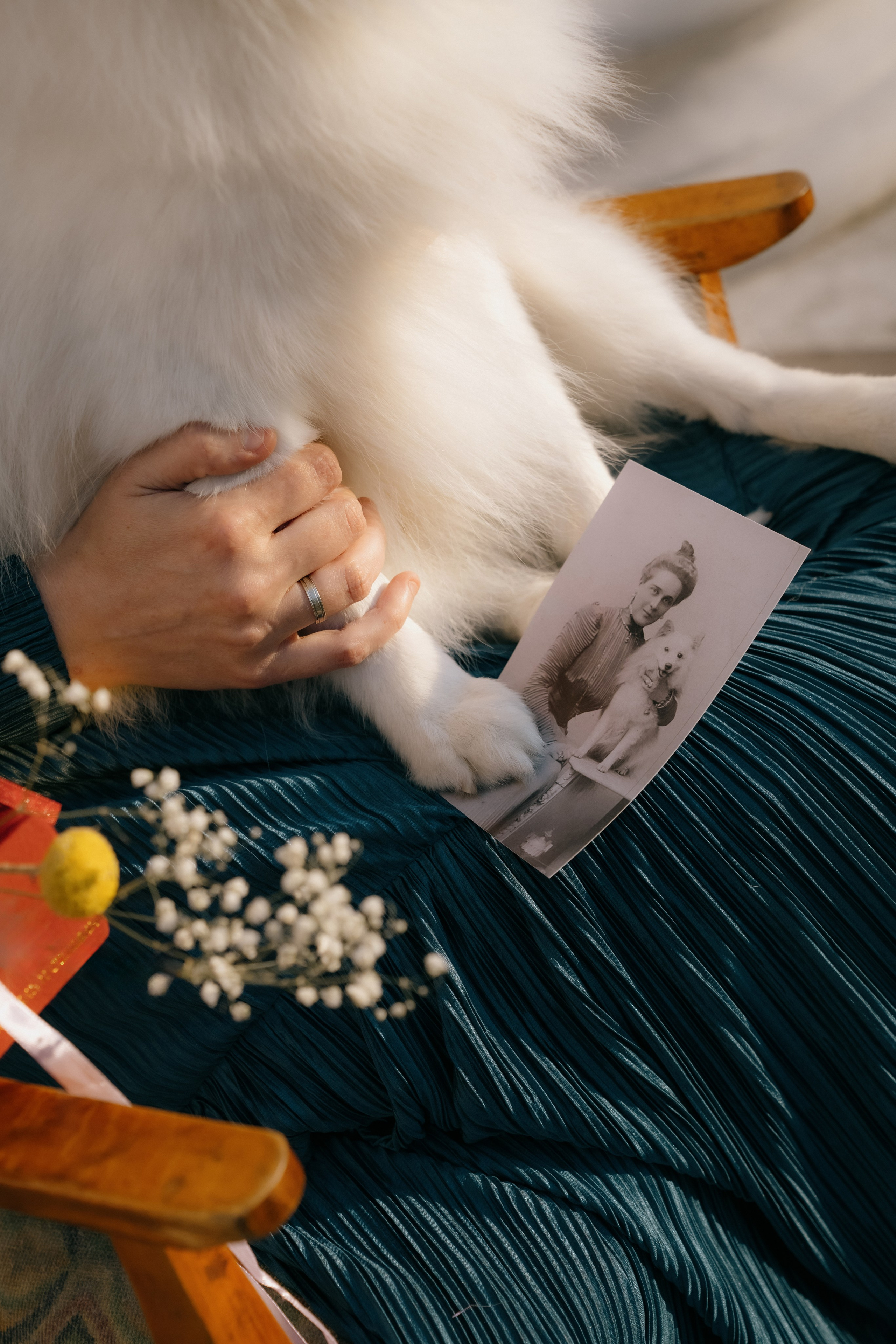 Женский портрет. Кошенкова Мария: портретный и репортажный фотограф. Санкт-Петербург