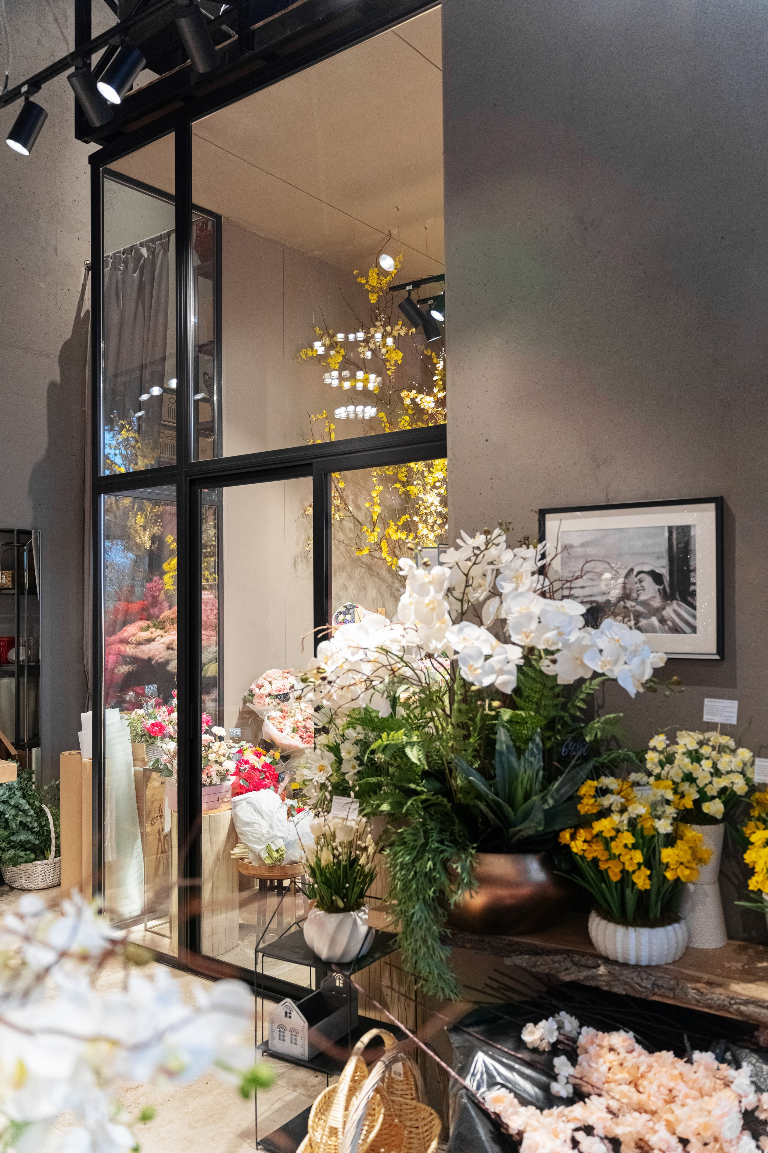 Регион холод. Елена Пашкевич, фотограф, Москва