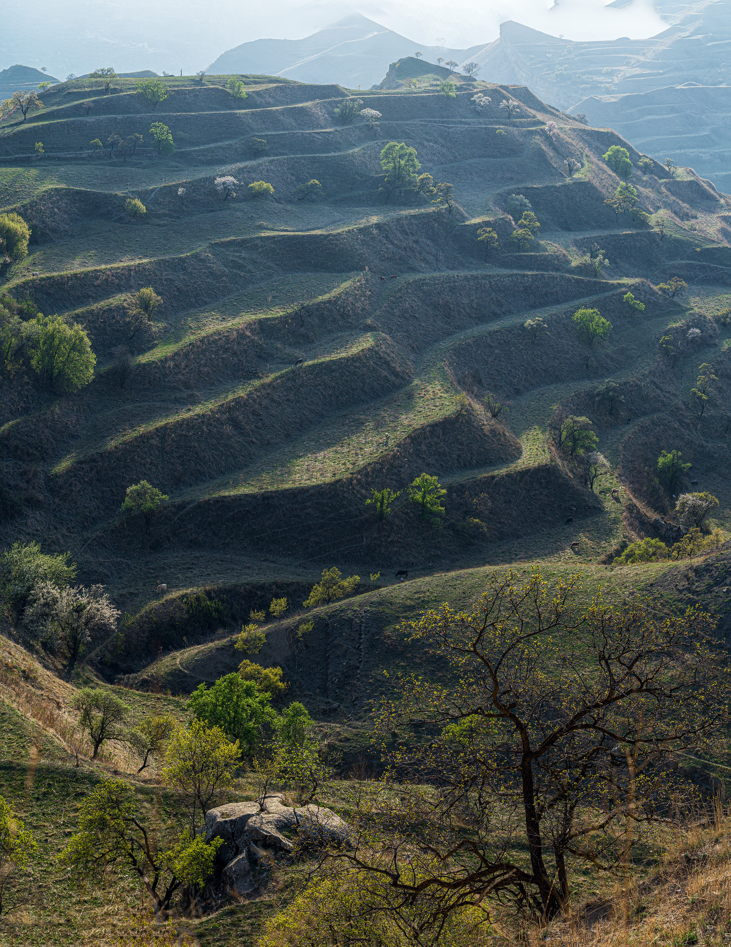 Дагестан. Портретный фотограф в Челябинске Катерина Руди