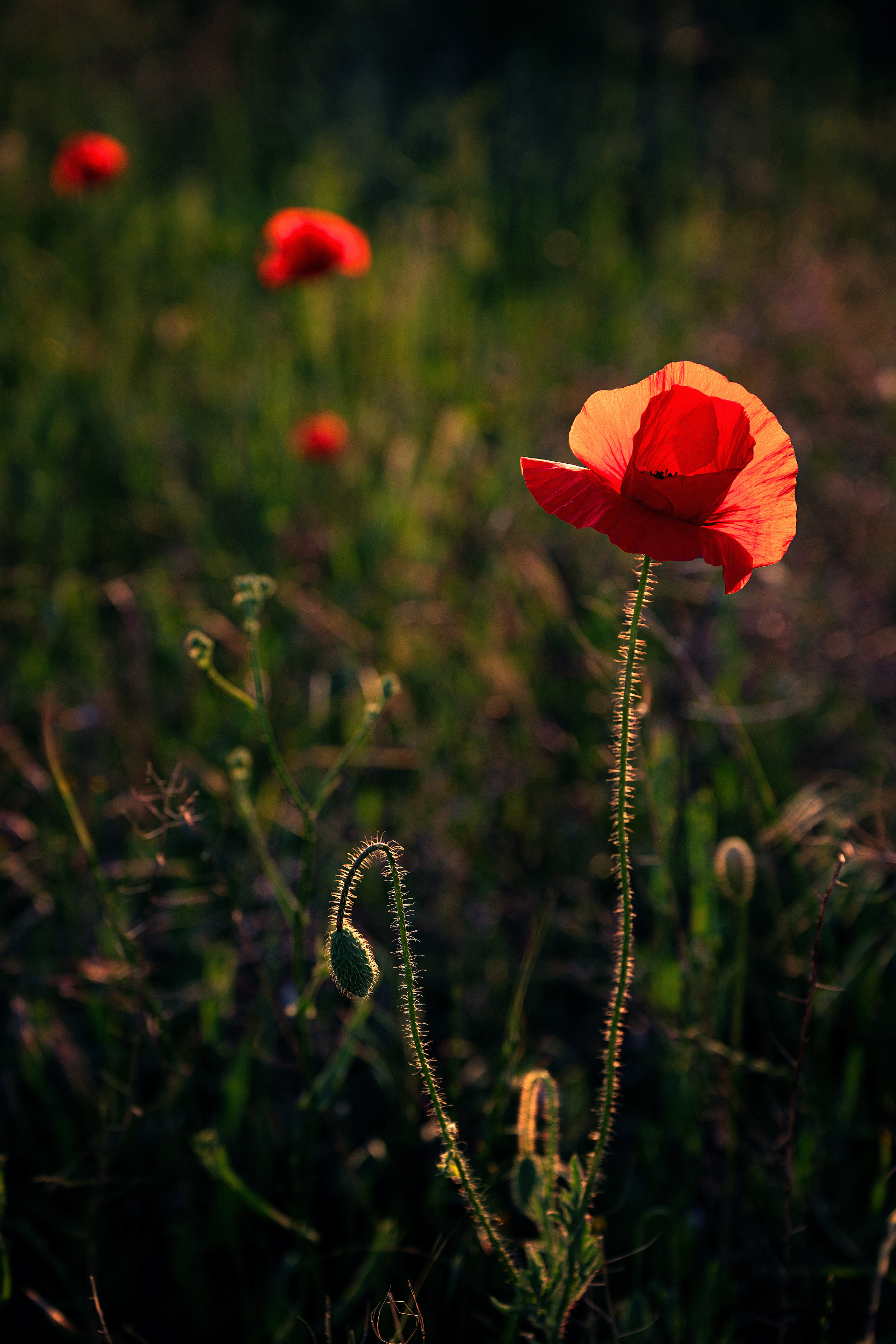 Крым. Портретный фотограф в Челябинске Катерина Руди
