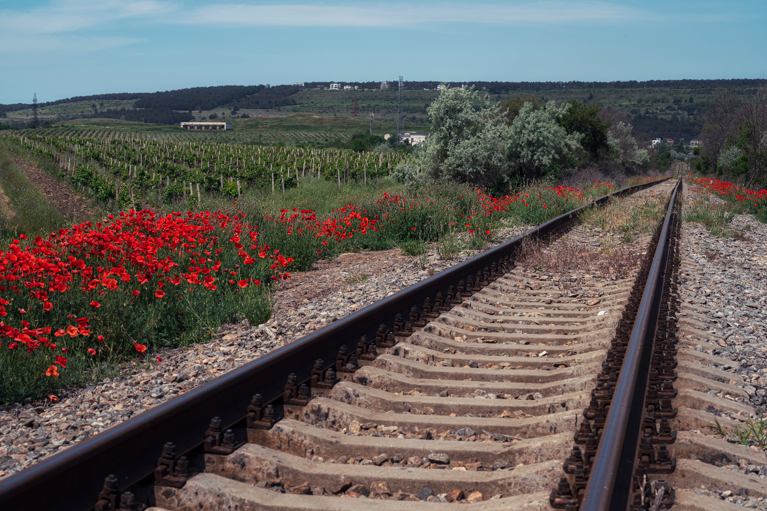 Крым. Портретный фотограф в Челябинске Катерина Руди