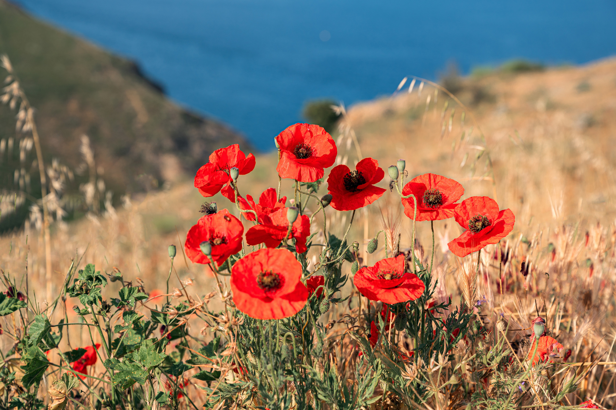 Крым. Портретный фотограф в Челябинске Катерина Руди