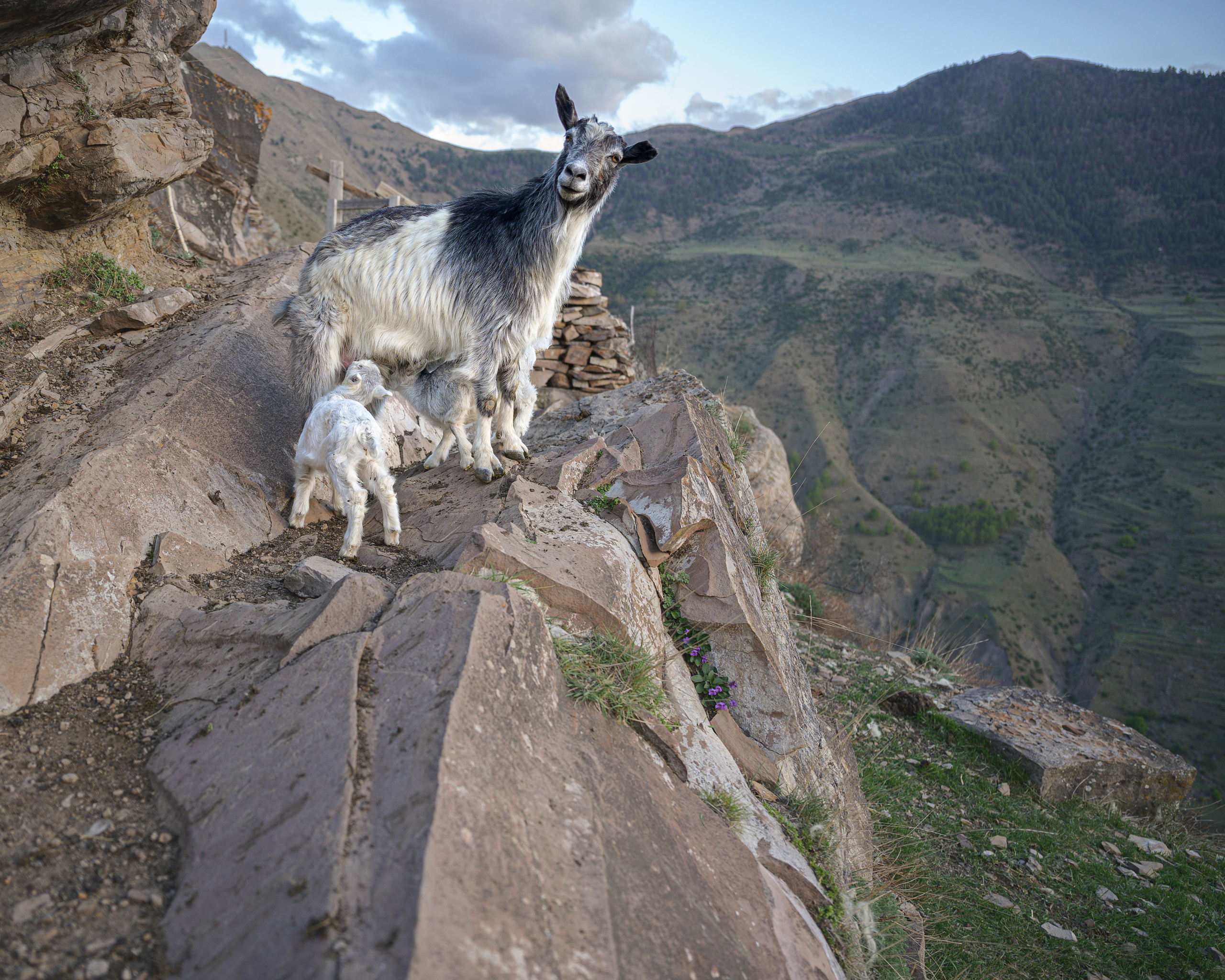 Дагестан. Портретный фотограф в Челябинске Катерина Руди