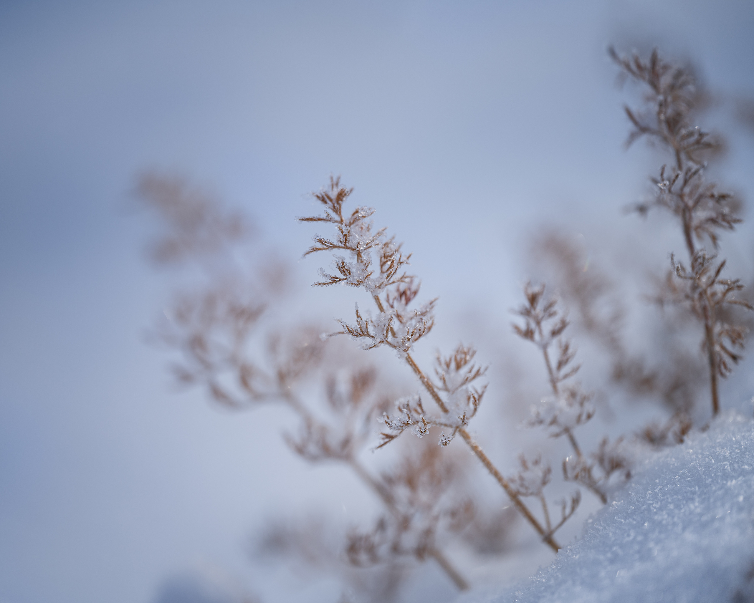 Байкал. Портретный фотограф в Челябинске Катерина Руди