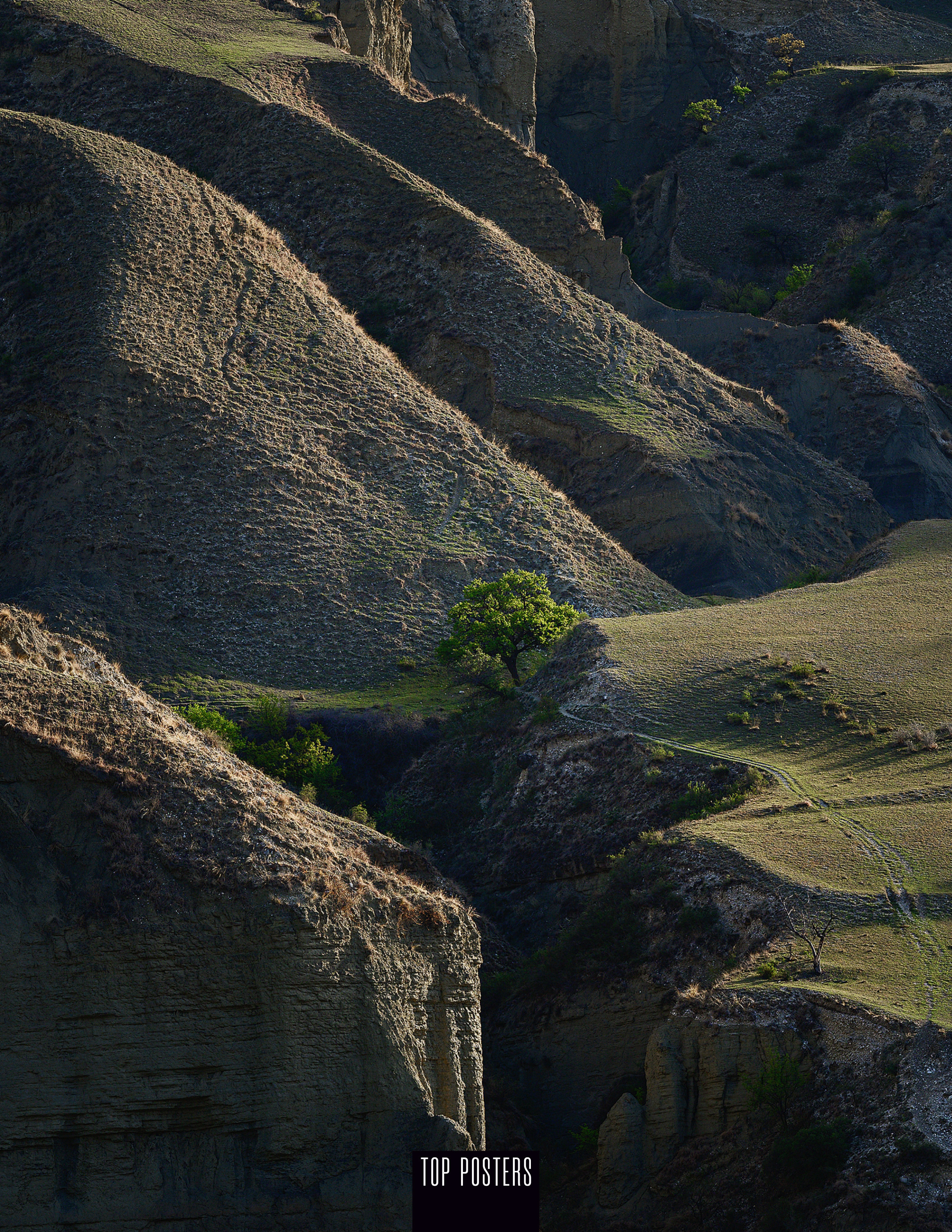 Пейзаж. Портретный фотограф в Челябинске Катерина Руди