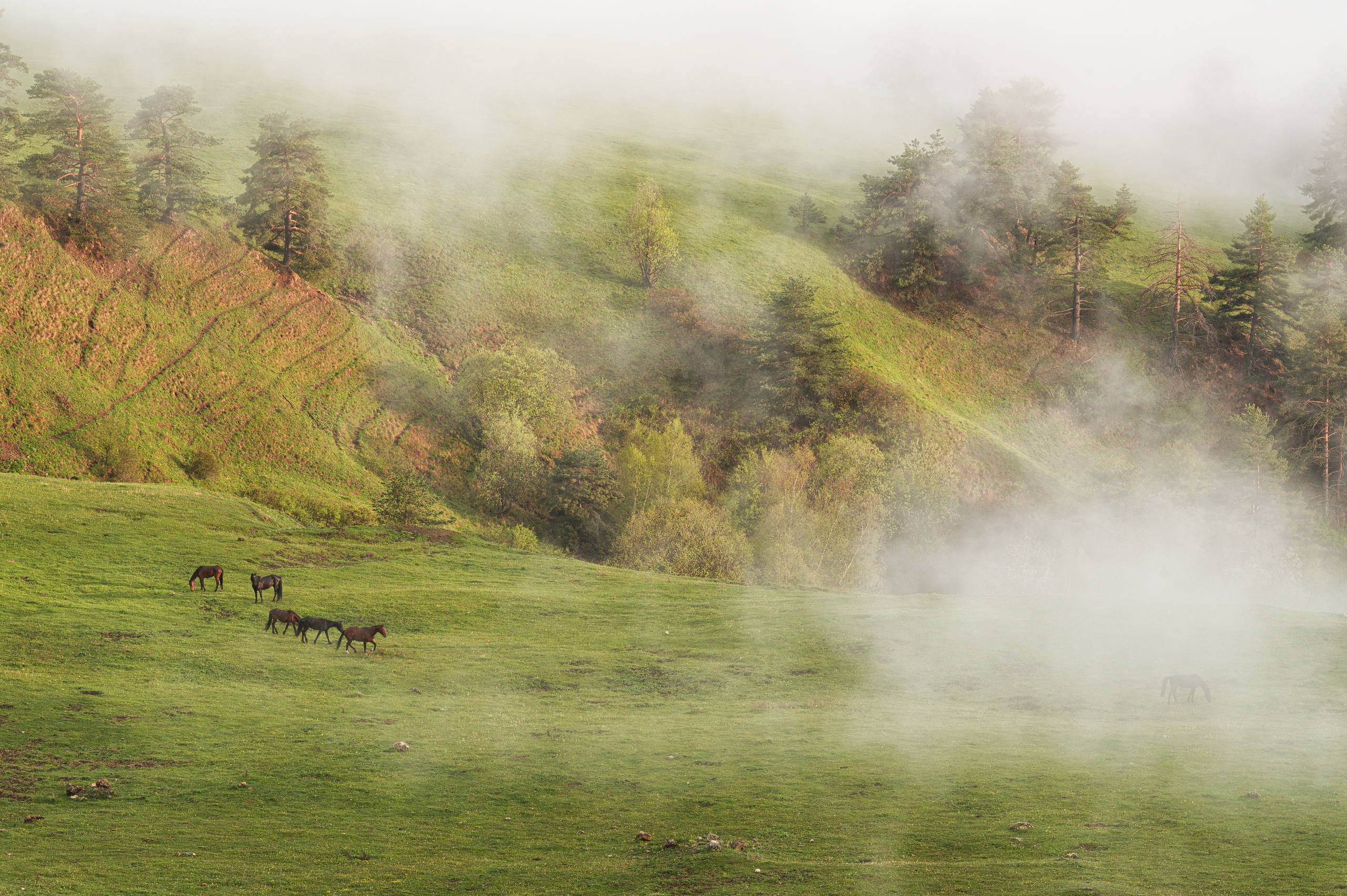 Приэльбрусье, Ингушетия. Портретный фотограф в Челябинске Катерина Руди