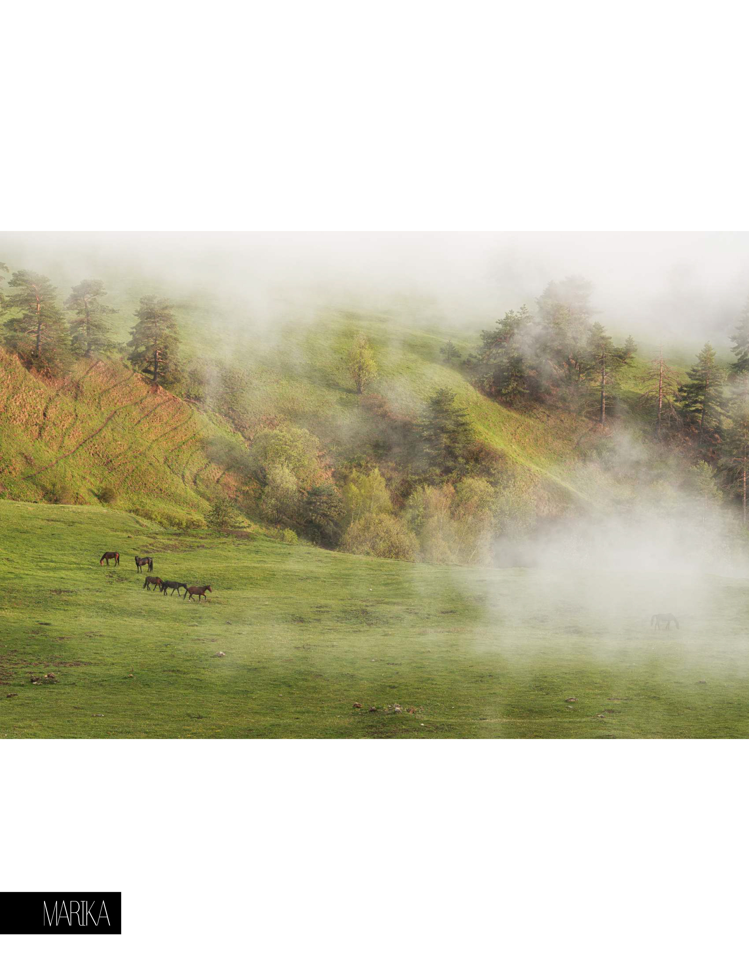 Пейзаж. Портретный фотограф в Челябинске Катерина Руди