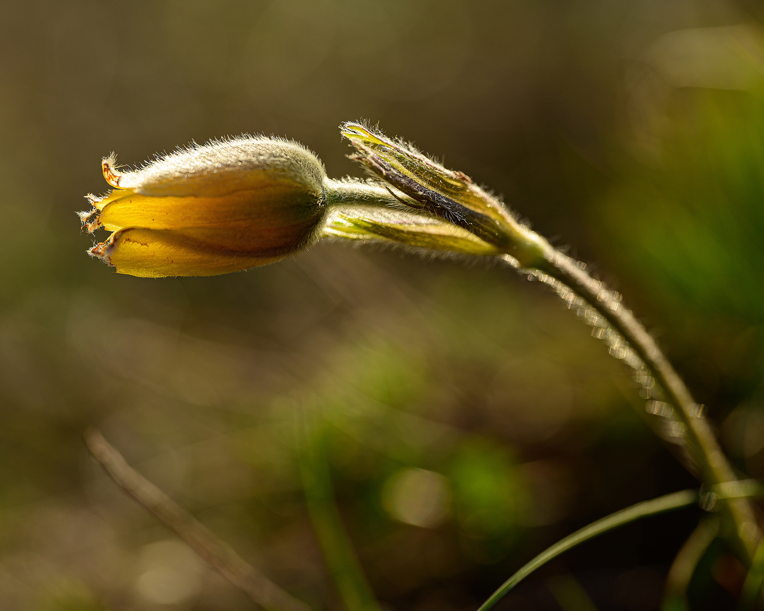 Дагестан. Портретный фотограф в Челябинске Катерина Руди