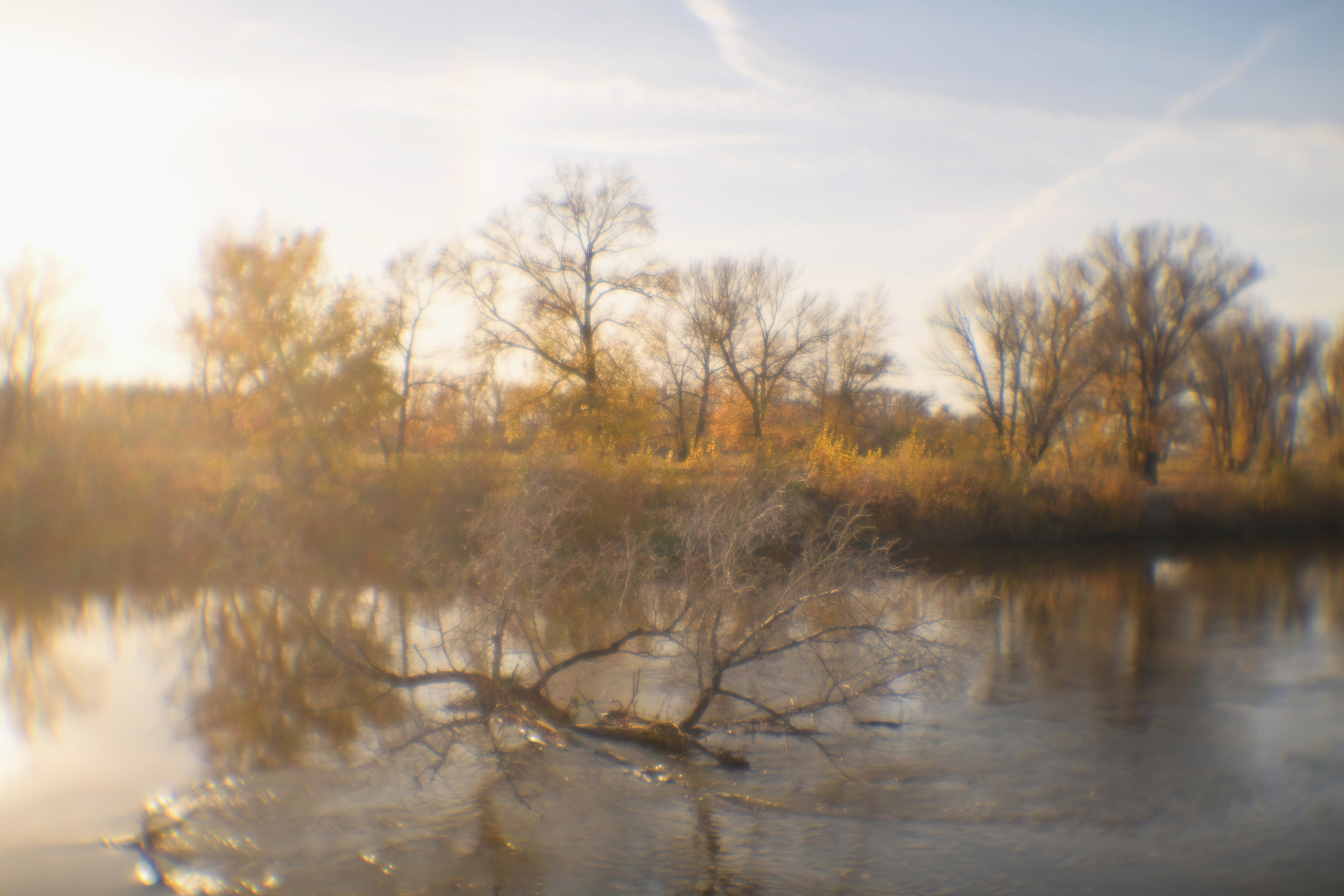 Курганская область. Портретный фотограф в Челябинске Катерина Руди