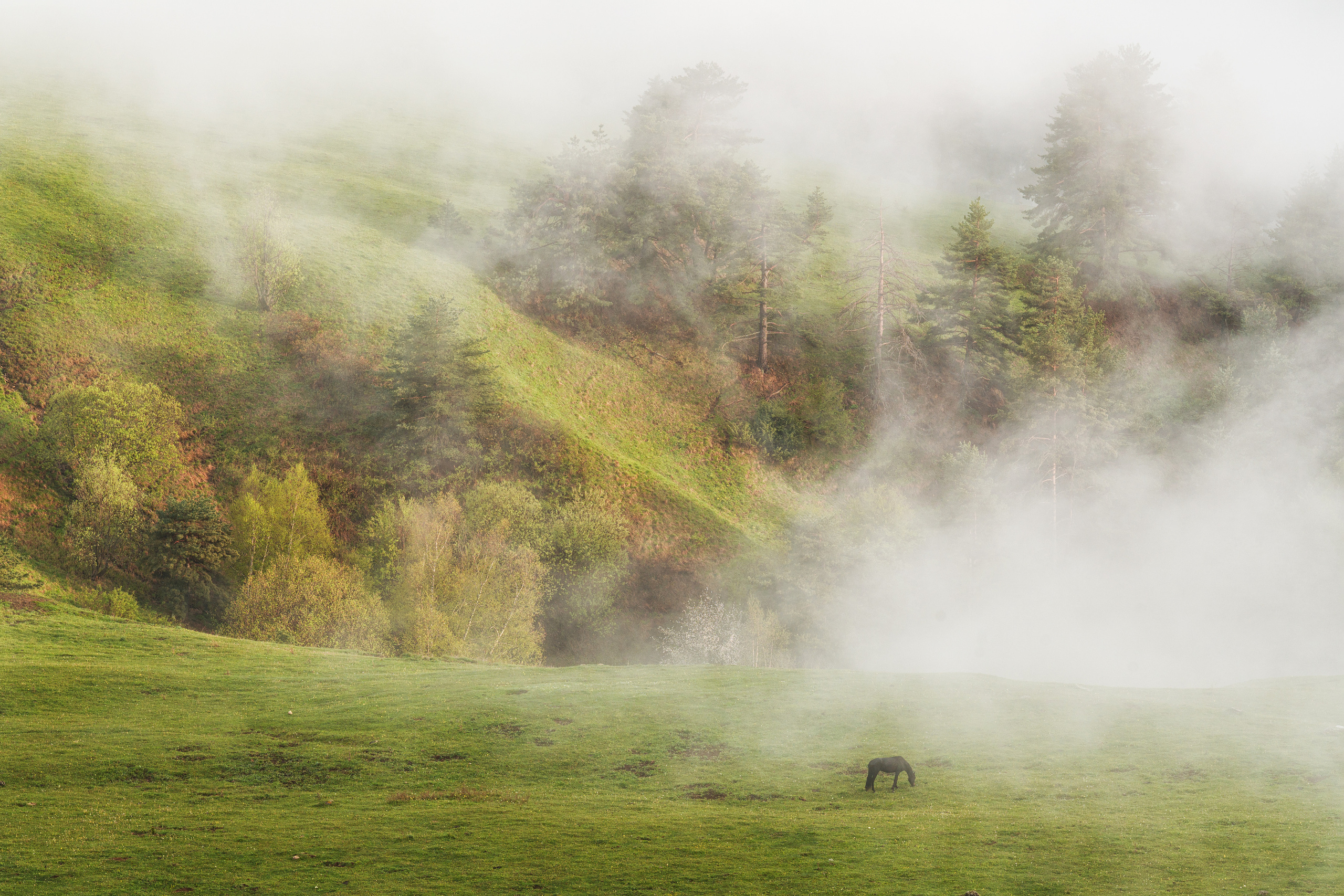 Приэльбрусье, Ингушетия. Портретный фотограф в Челябинске Катерина Руди