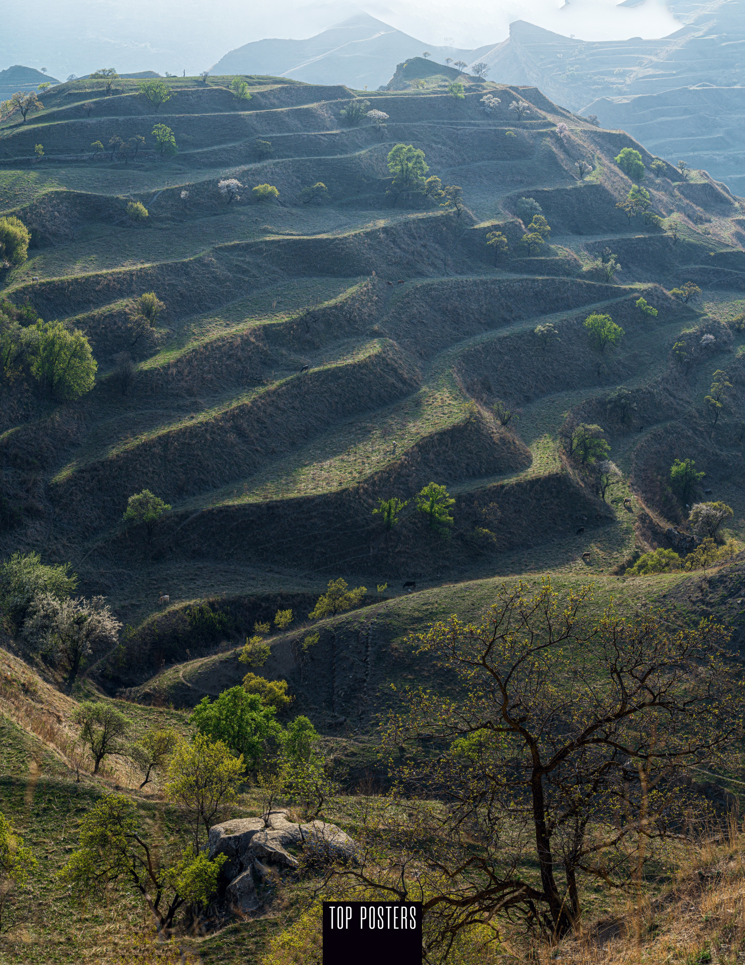 Пейзаж. Портретный фотограф в Челябинске Катерина Руди