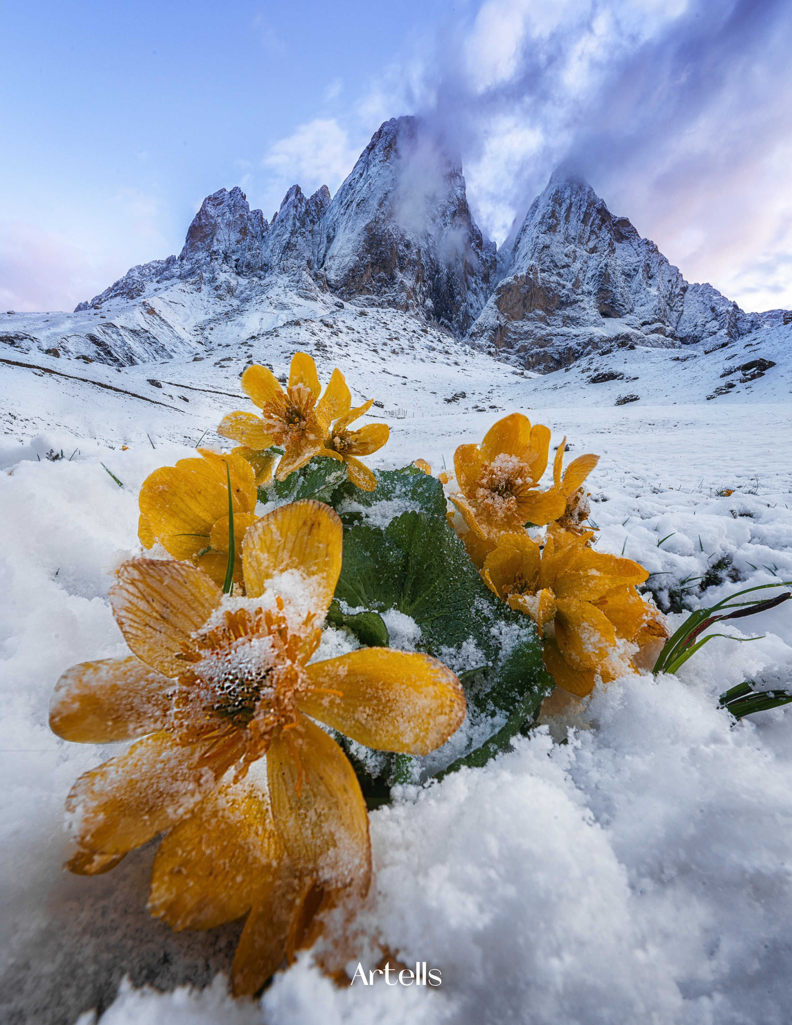 Пейзаж. Портретный фотограф в Челябинске Катерина Руди