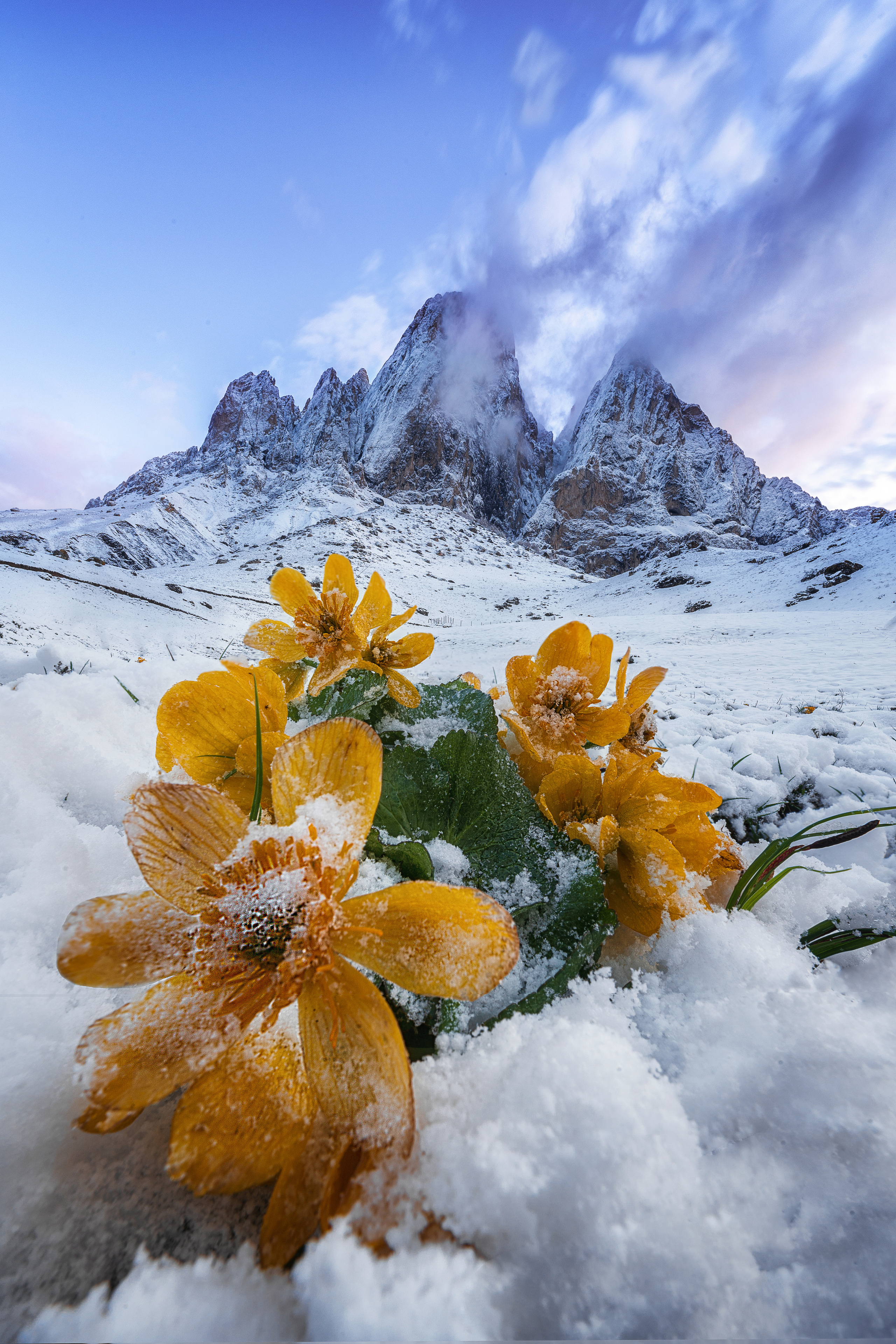 Приэльбрусье, Ингушетия. Портретный фотограф в Челябинске Катерина Руди