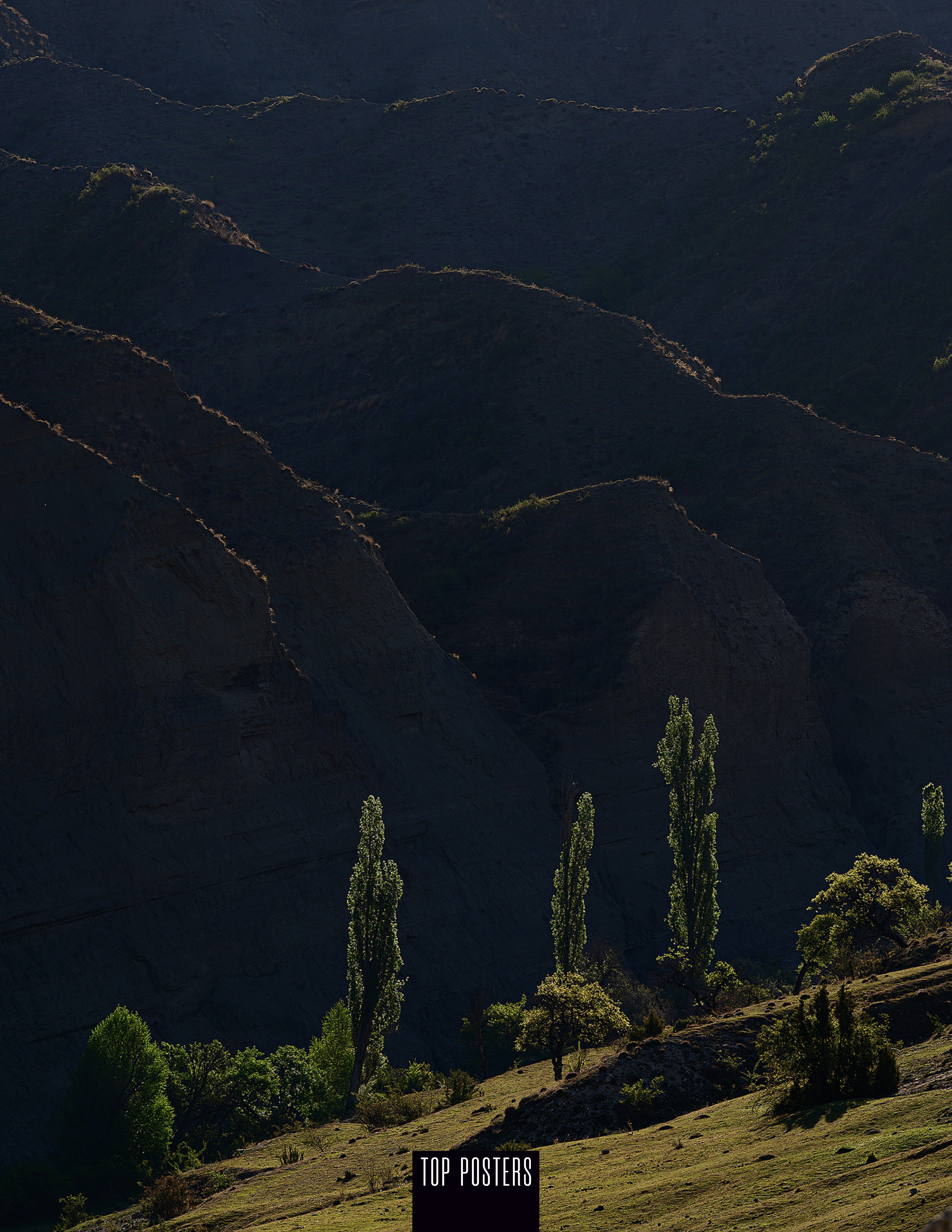 Пейзаж. Портретный фотограф в Челябинске Катерина Руди