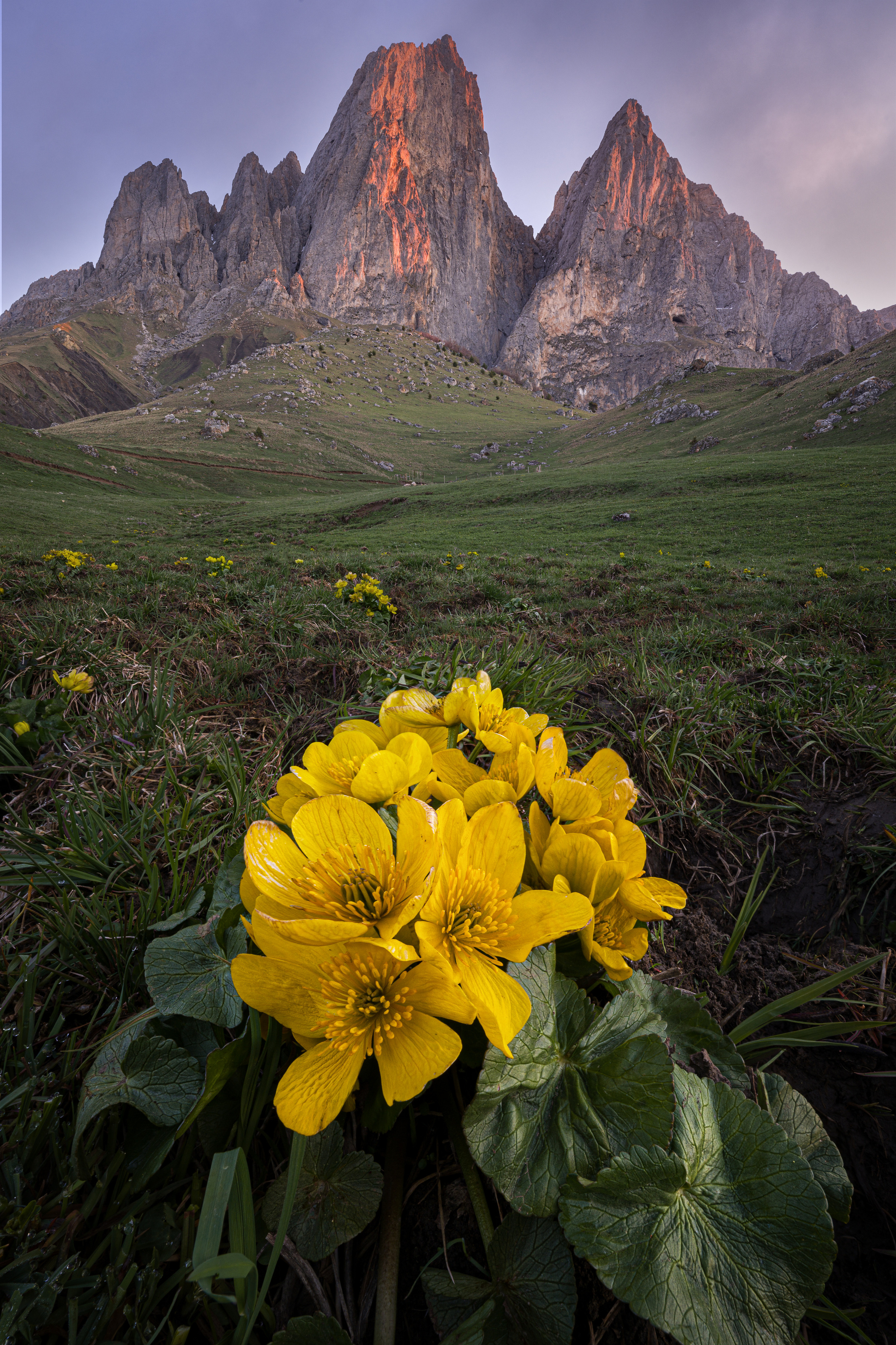 Приэльбрусье, Ингушетия. Портретный фотограф в Челябинске Катерина Руди