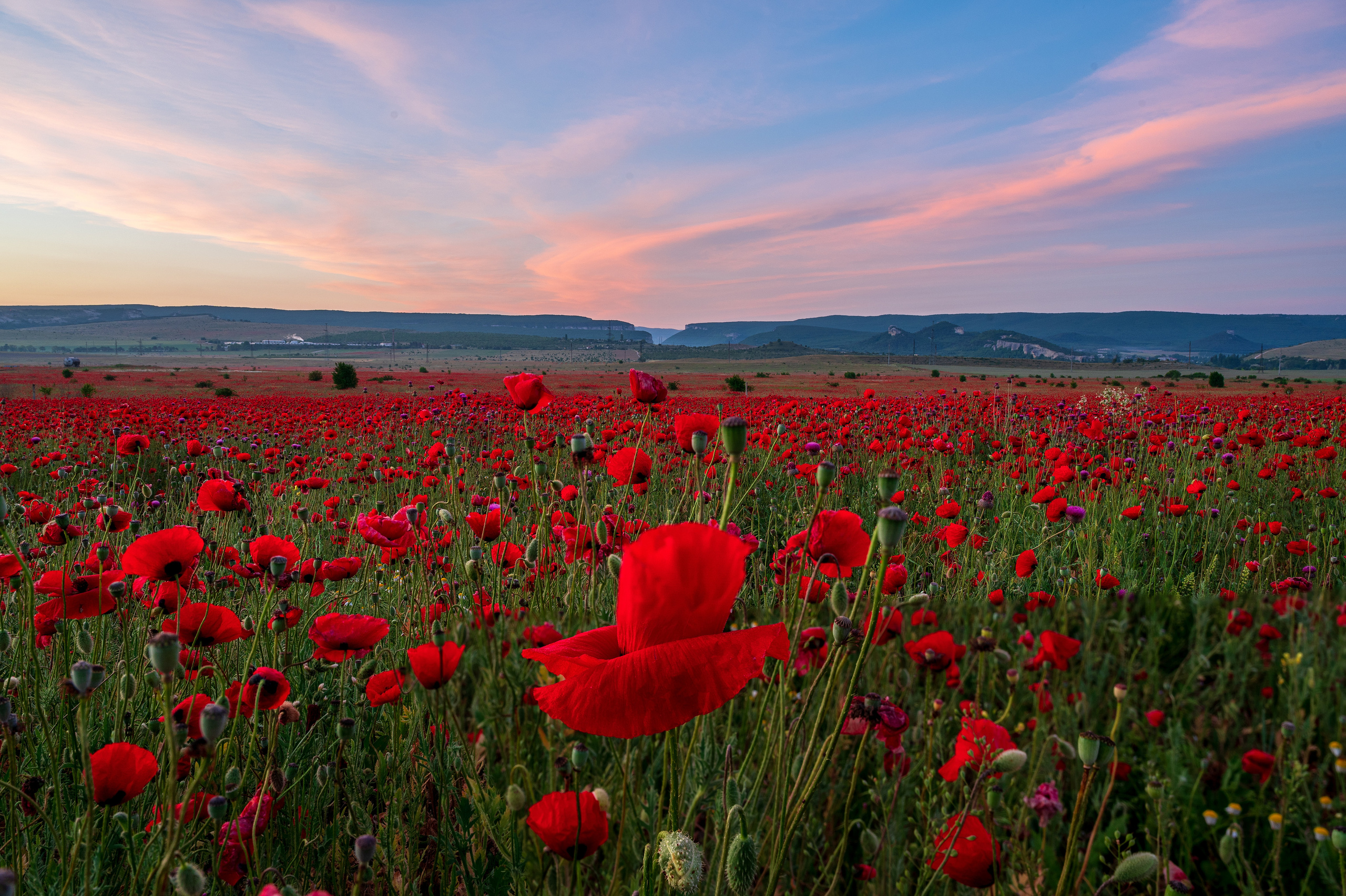Крым. Портретный фотограф в Челябинске Катерина Руди