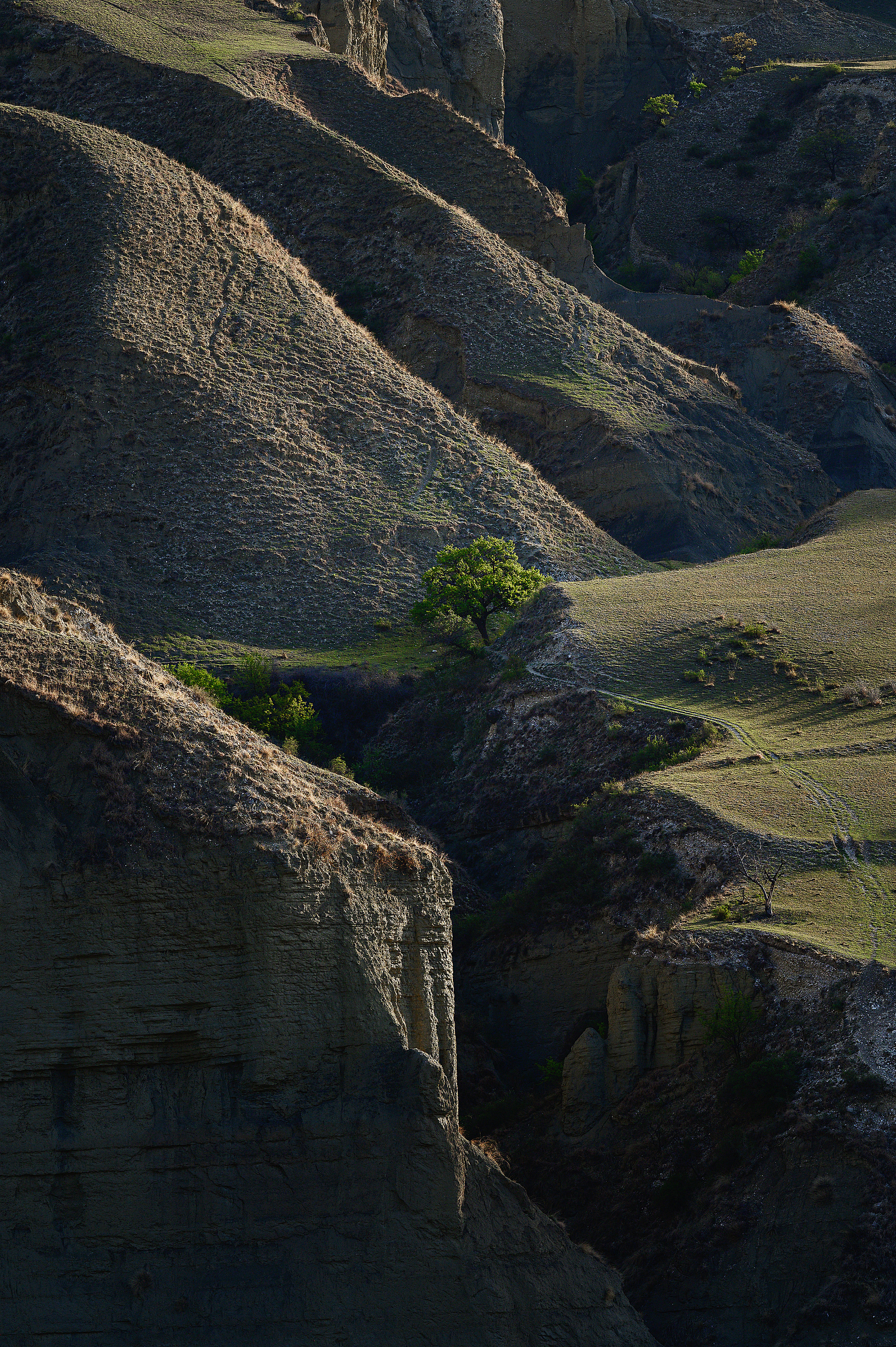 Дагестан. Портретный фотограф в Челябинске Катерина Руди