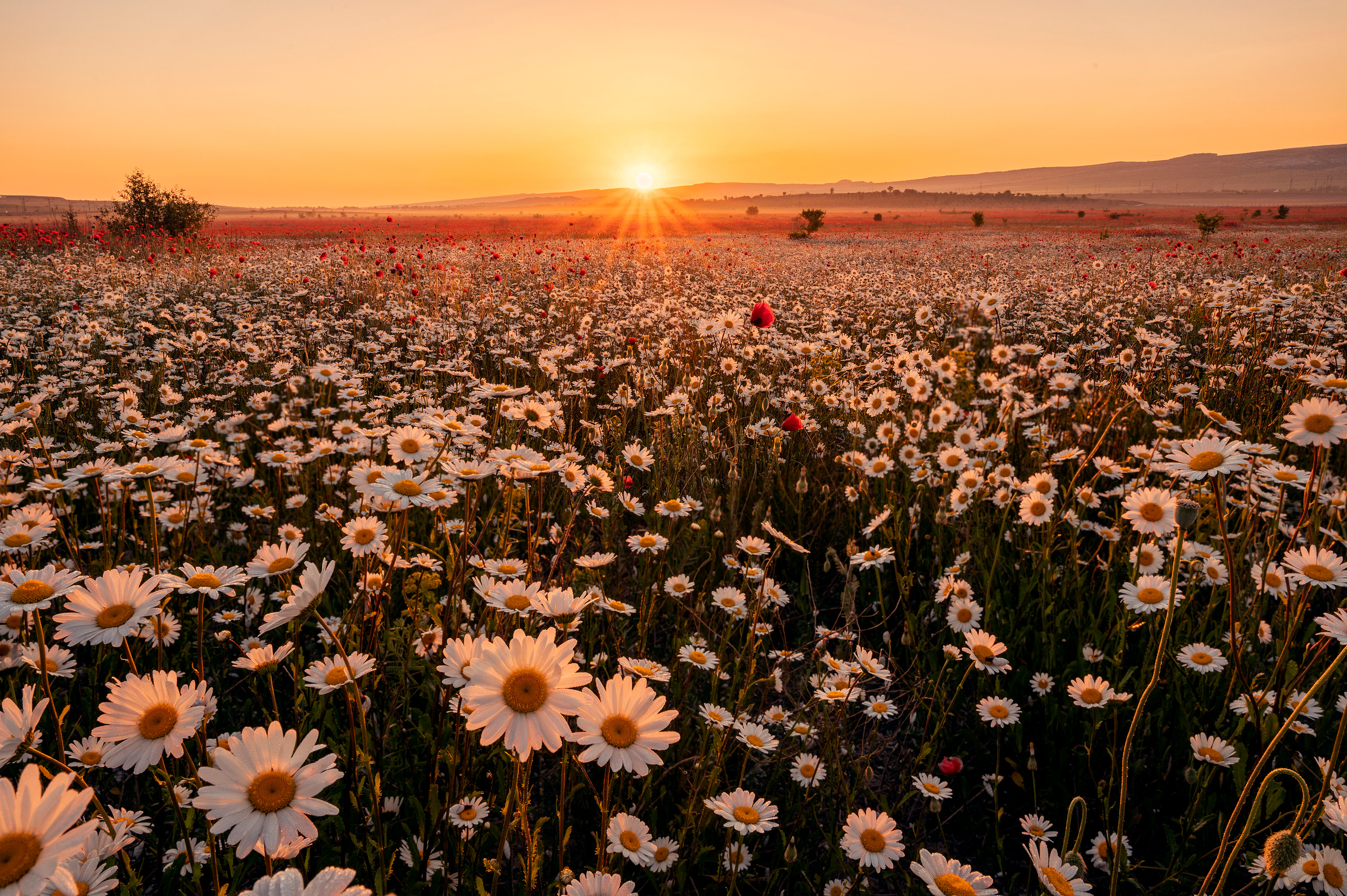 Крым. Портретный фотограф в Челябинске Катерина Руди